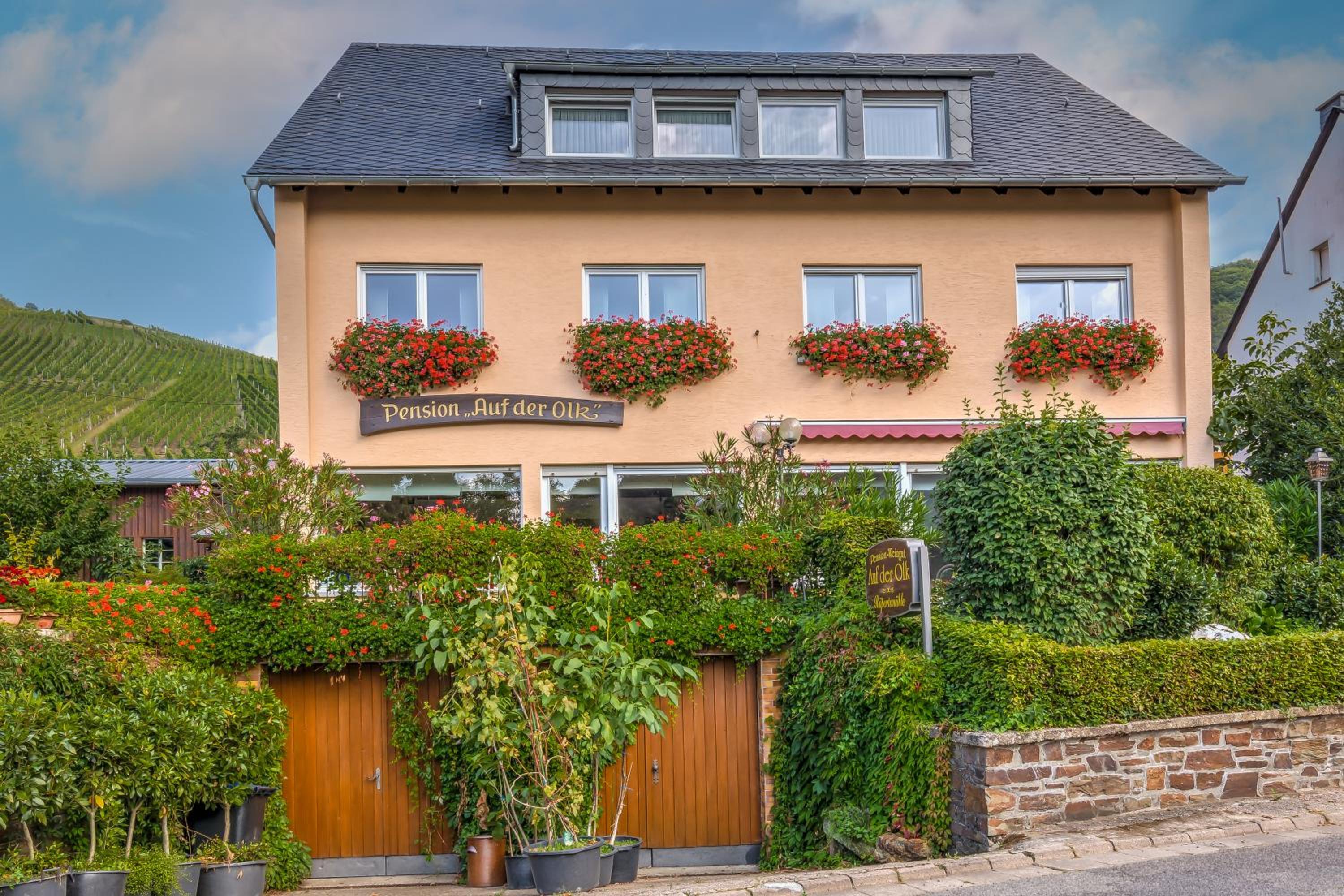 Pension Auf der Olk mit Röpertsmühle