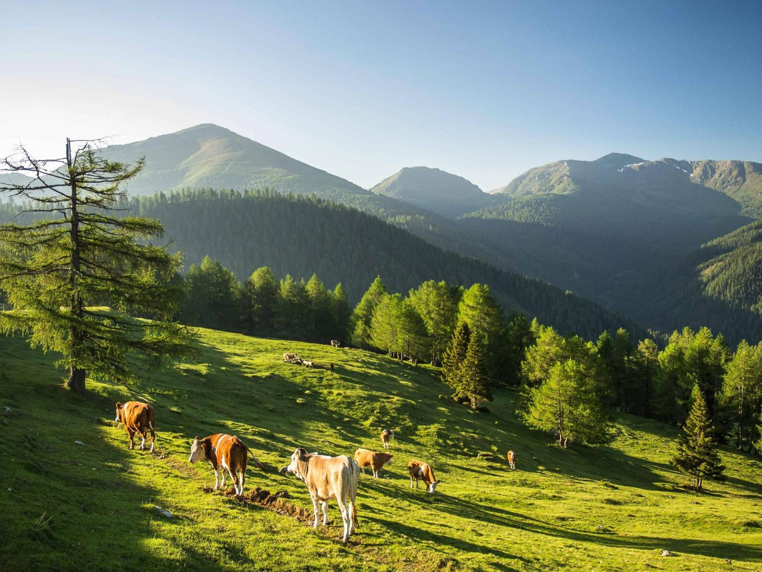 Gasthof Post