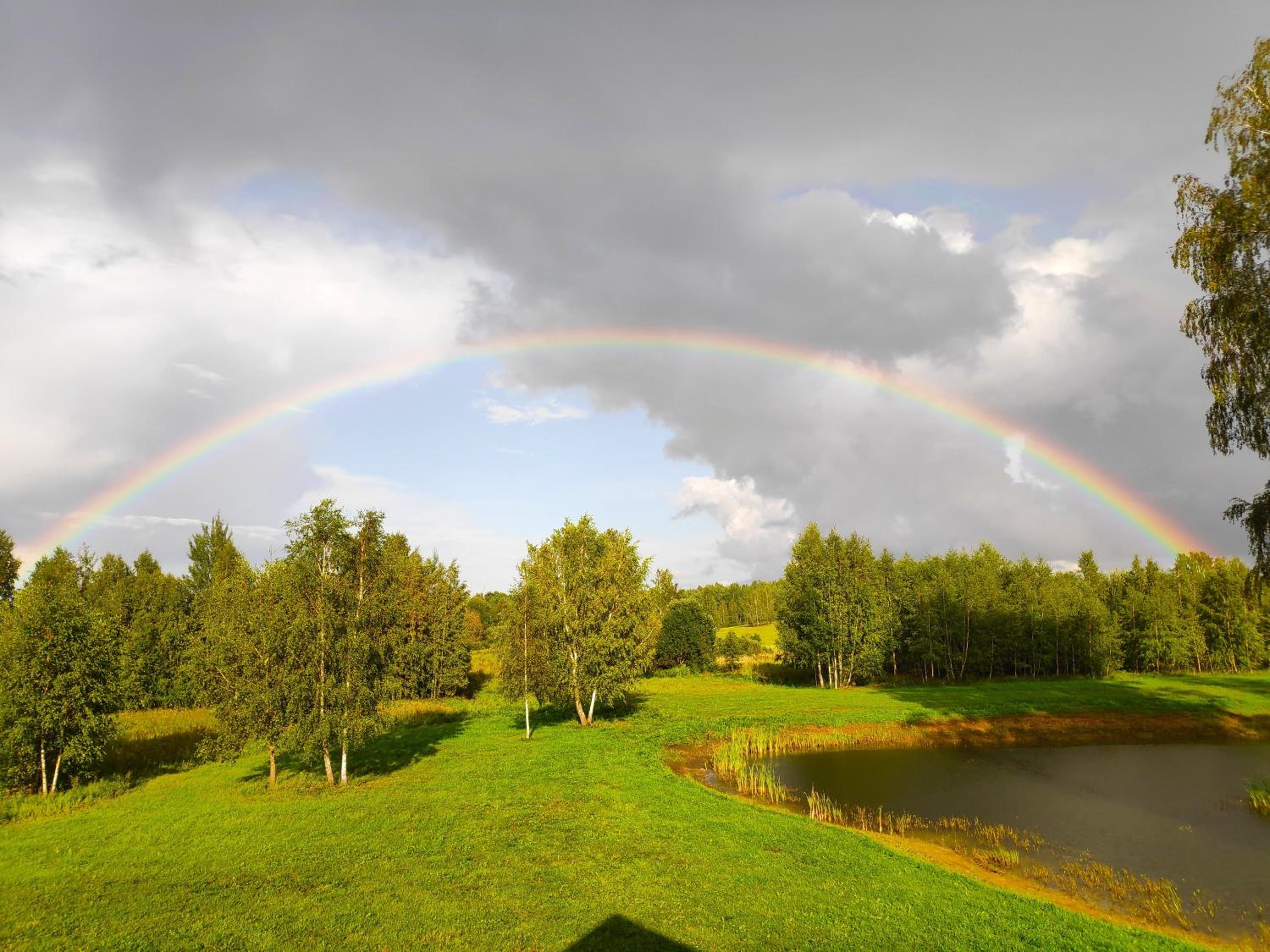Nuogas Briedis view 4