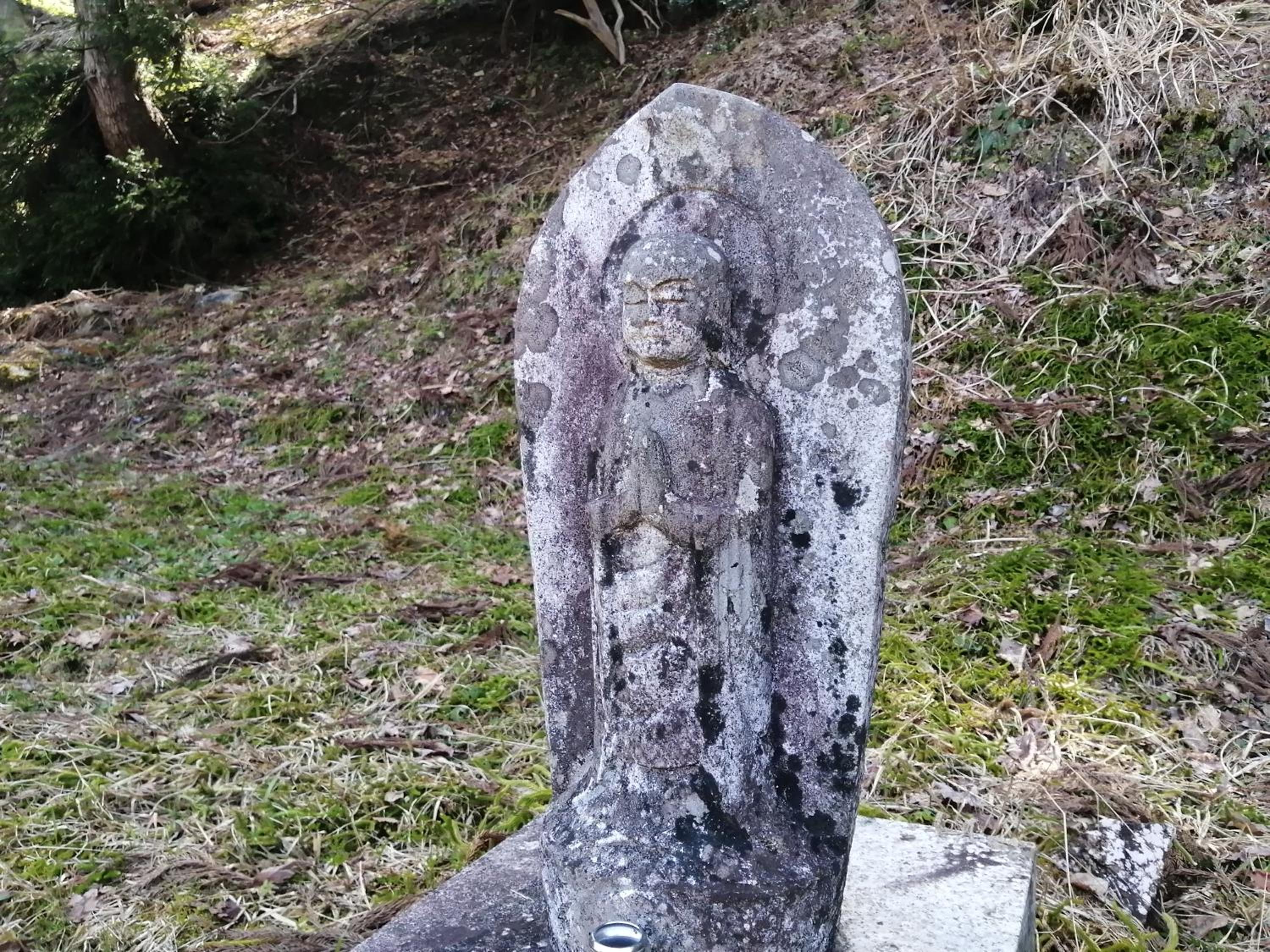Photo 36