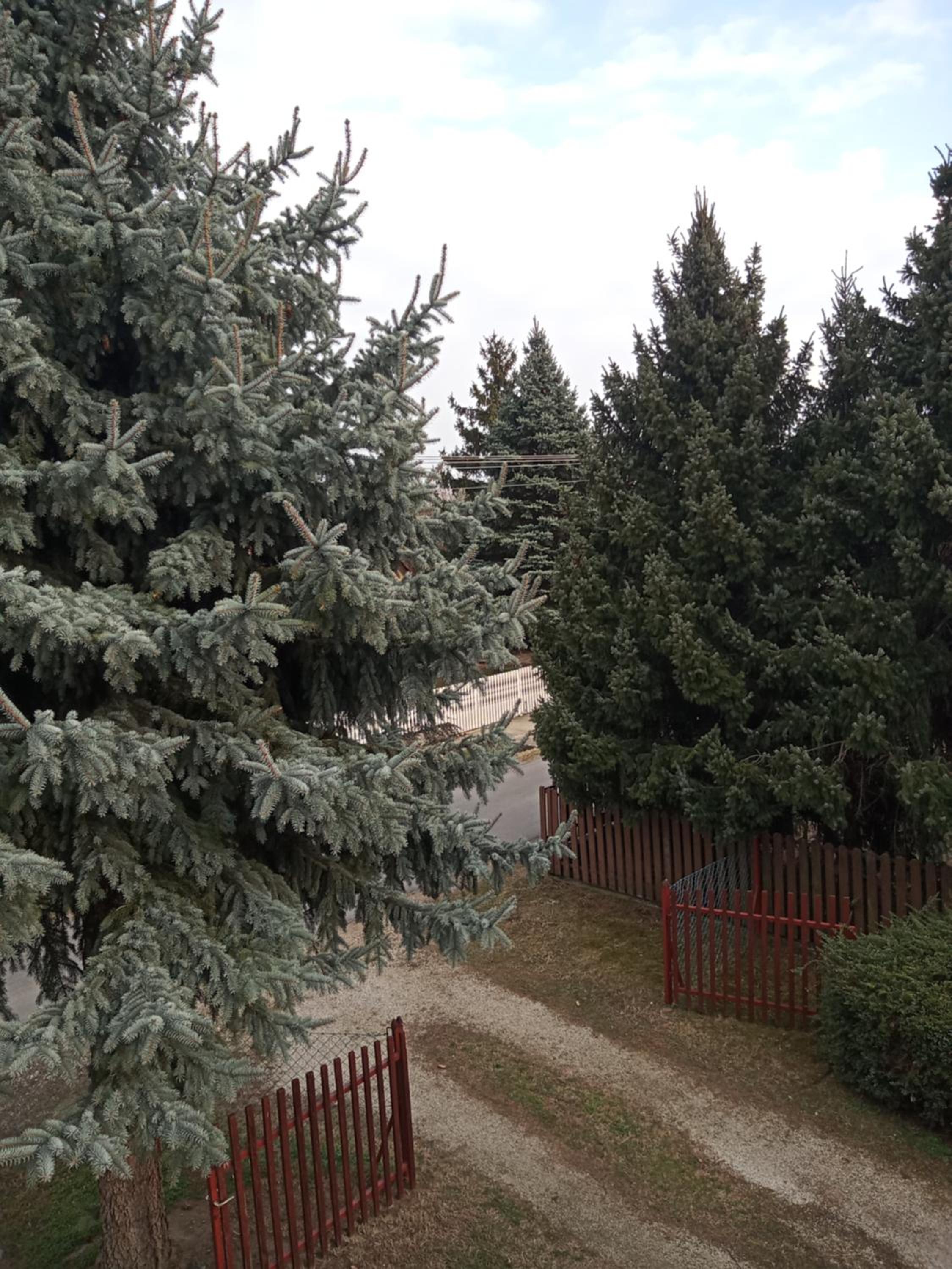 Photo 31