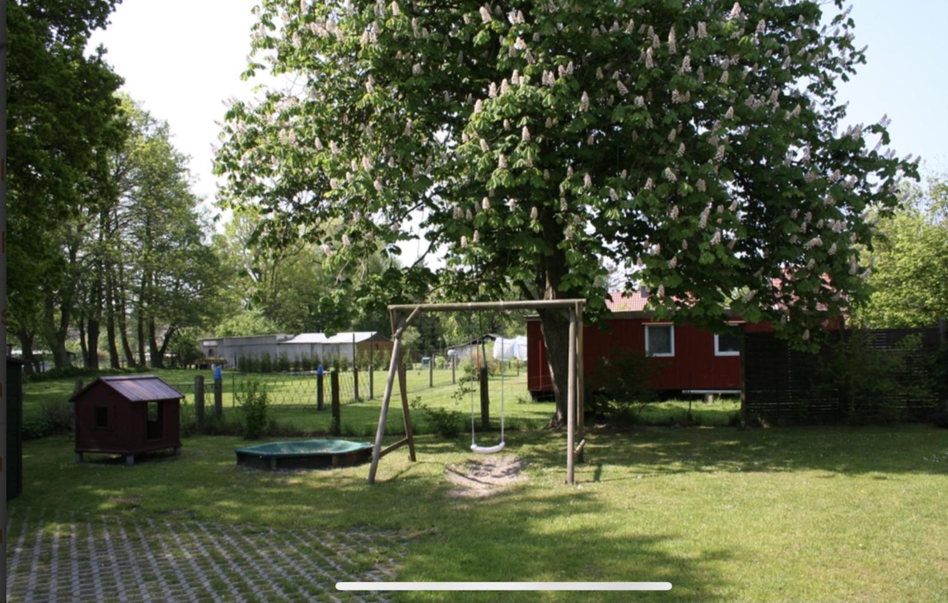 Austernfischer Prerow - Schönes Ferienhaus in Toplage mit großem Garten für Familie und Freunde
