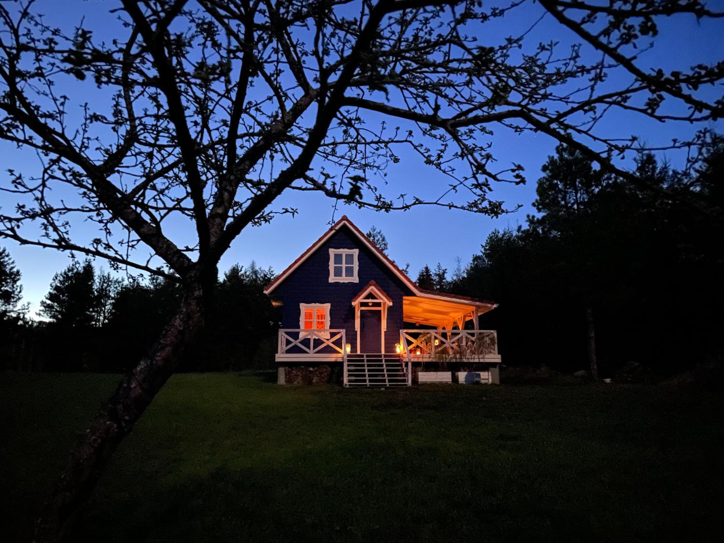Photo 50