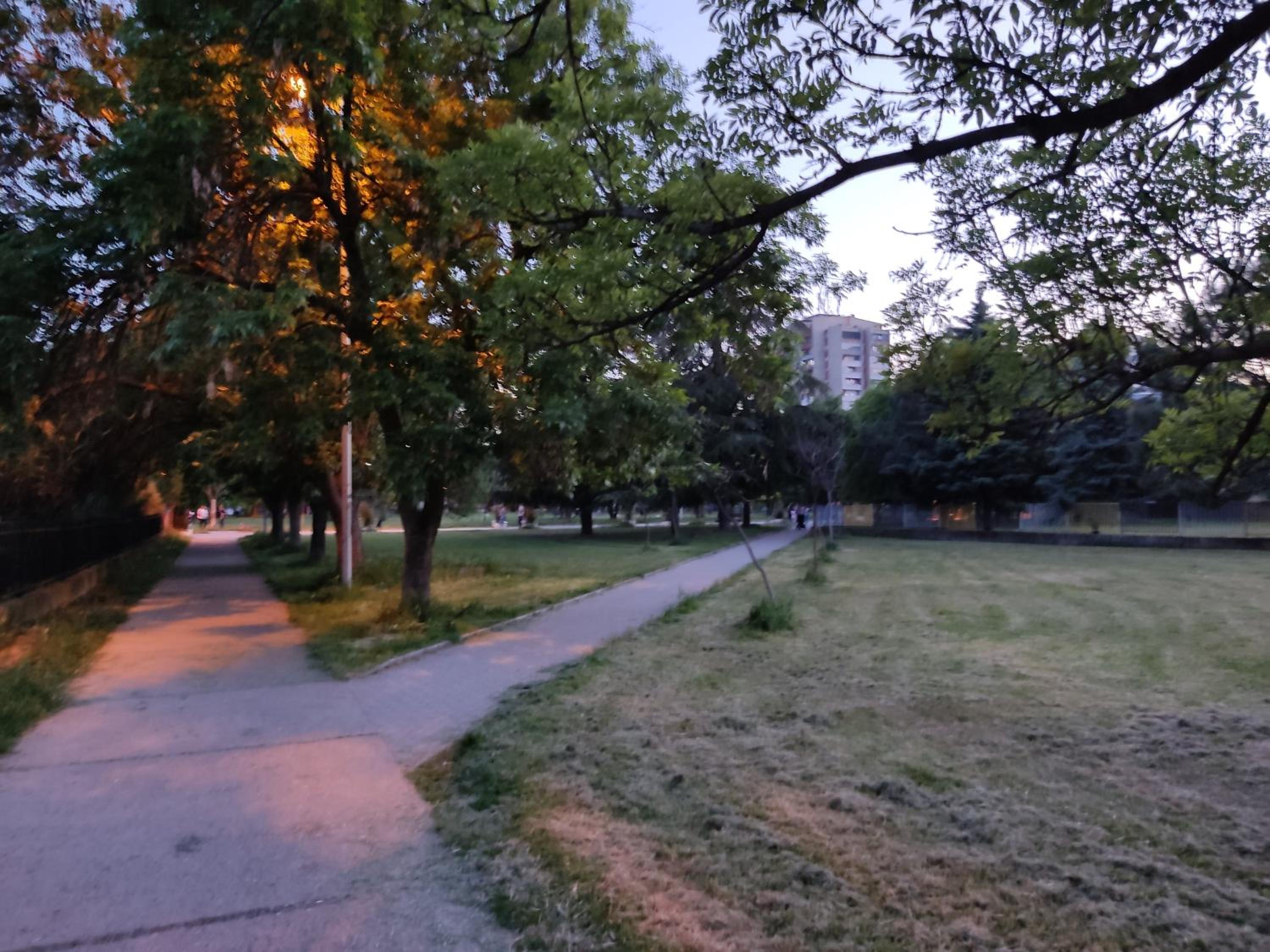 Photo 19