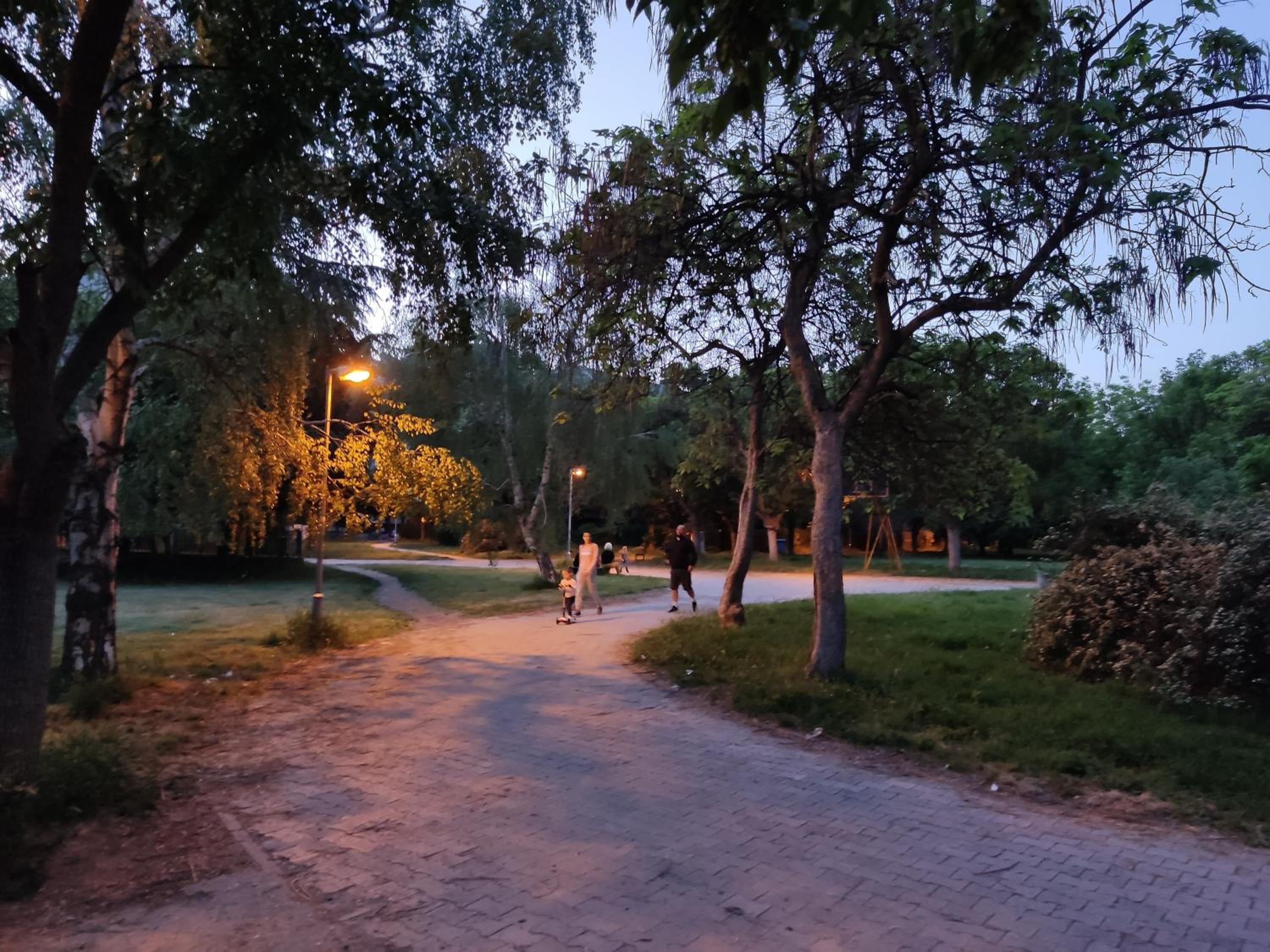 Photo 21