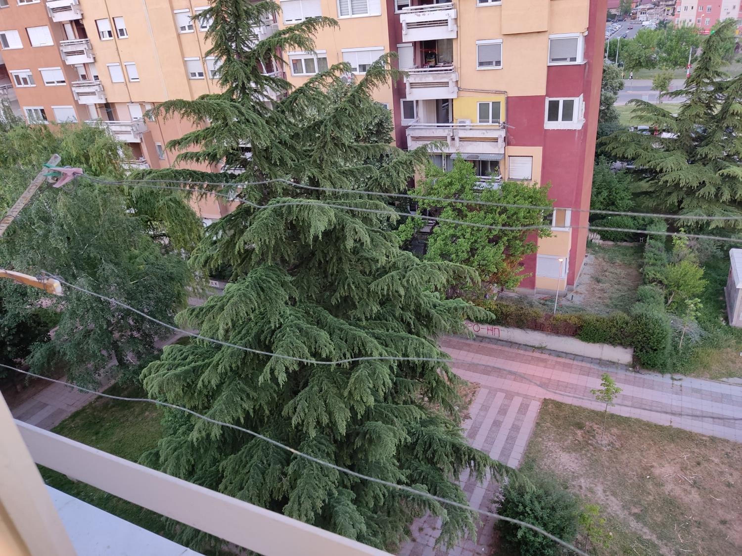 Photo 22