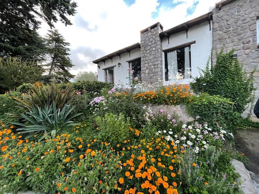 Casa divina temporaria en Tafí Del Valle ,pleno centro