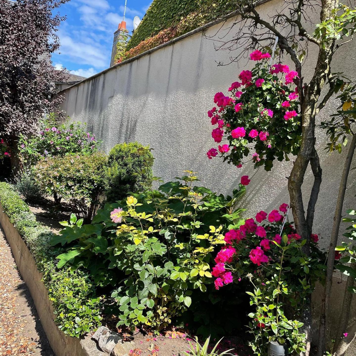 EVASION DE LOIRE view 2