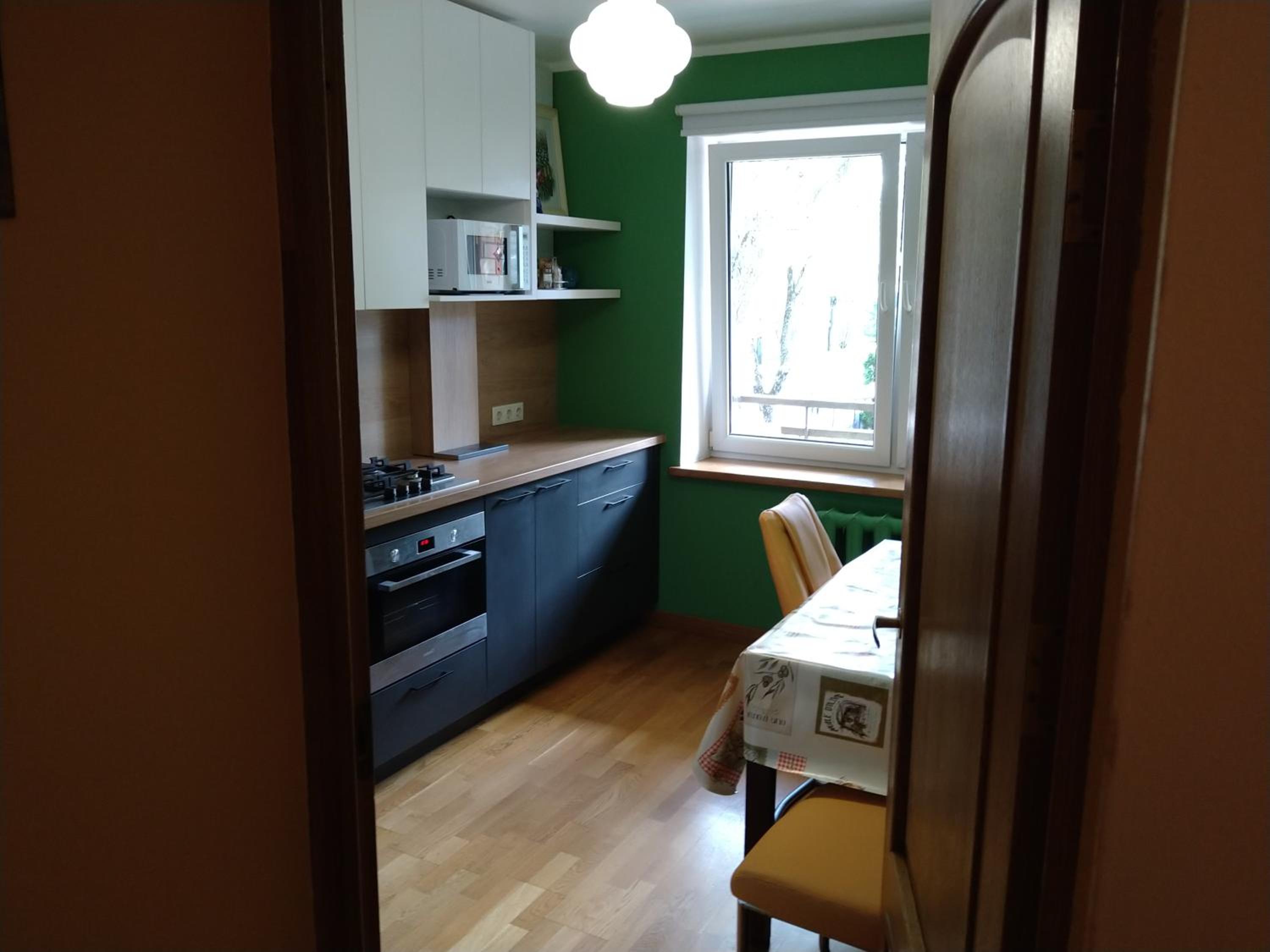 Brivibas Avenue Apartment view 3