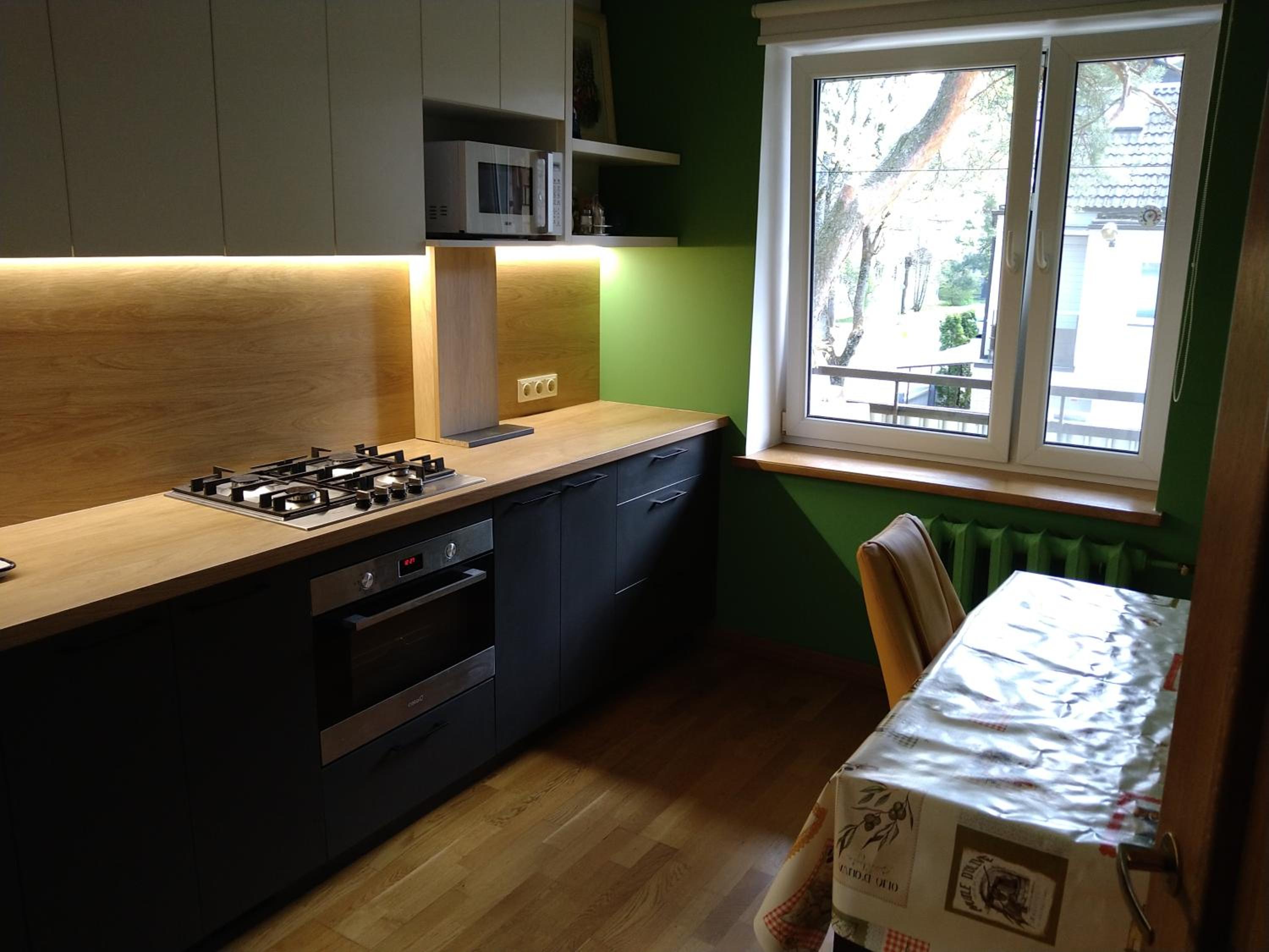Brivibas Avenue Apartment view 2