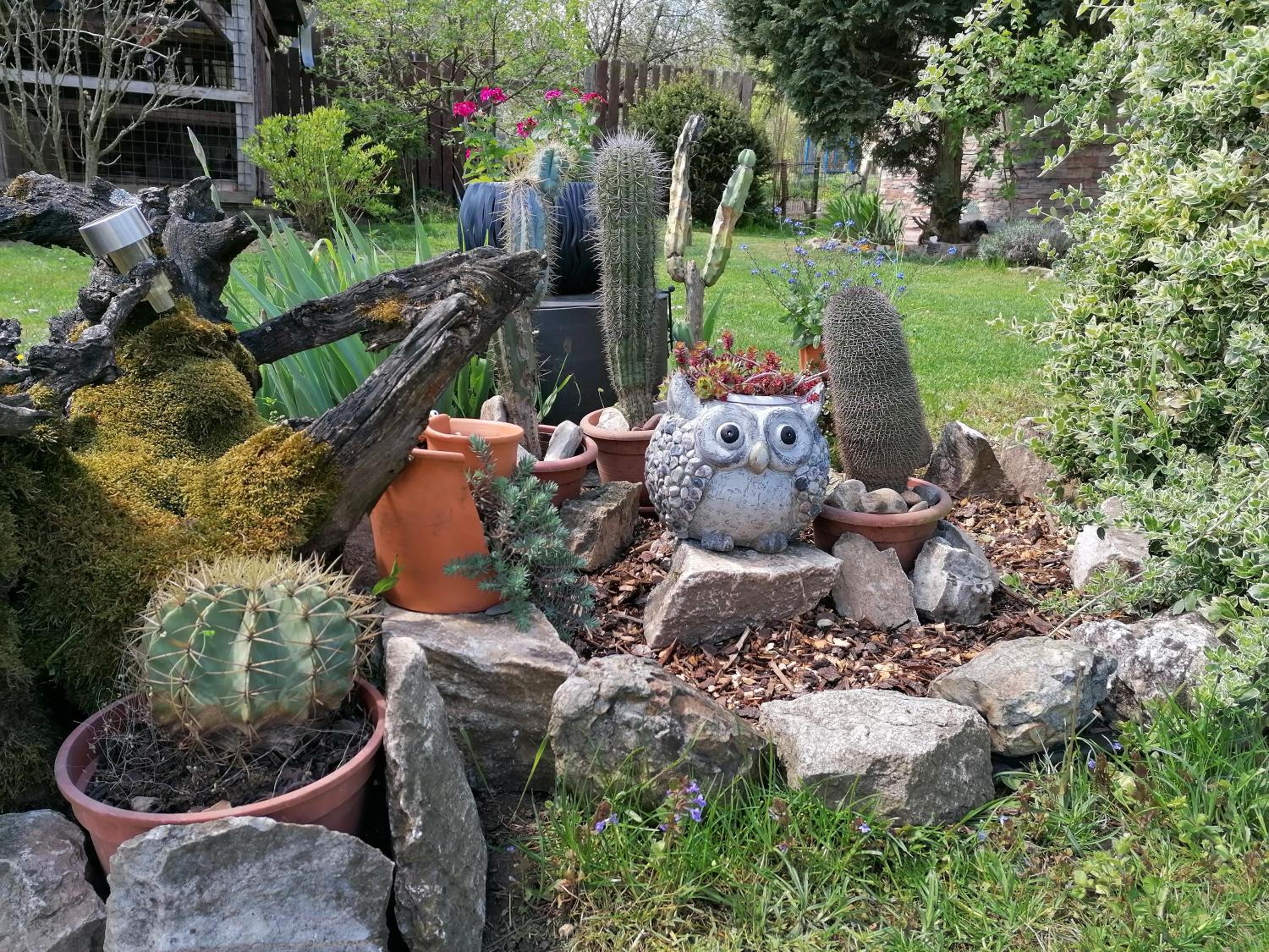 Photo 21