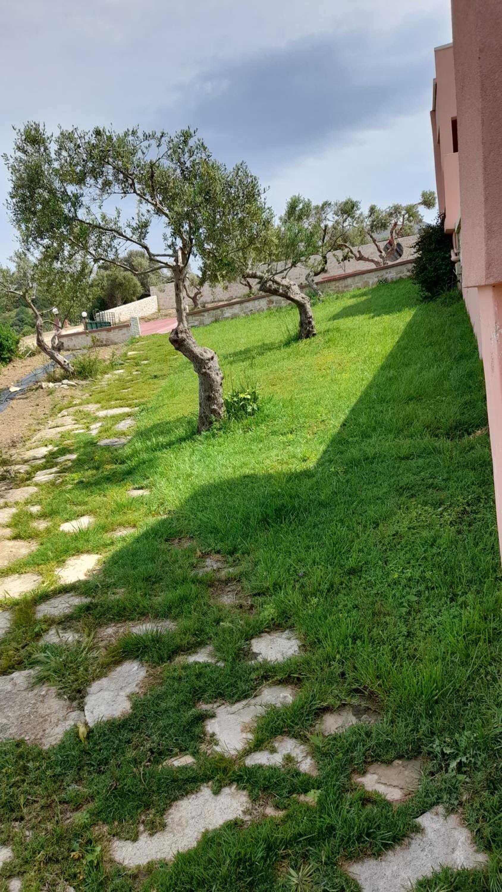 Photo 52