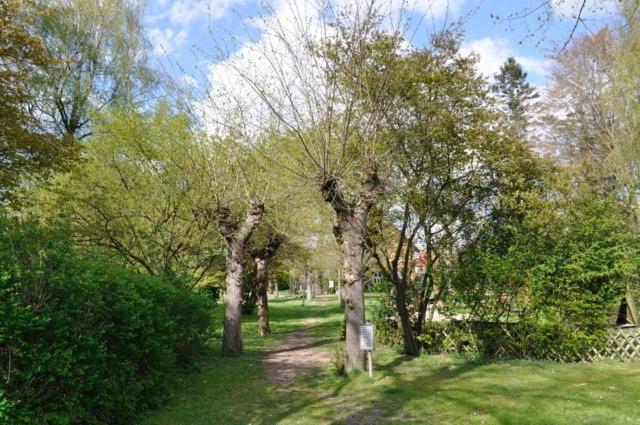 Ferienwohnung Südpark view 3