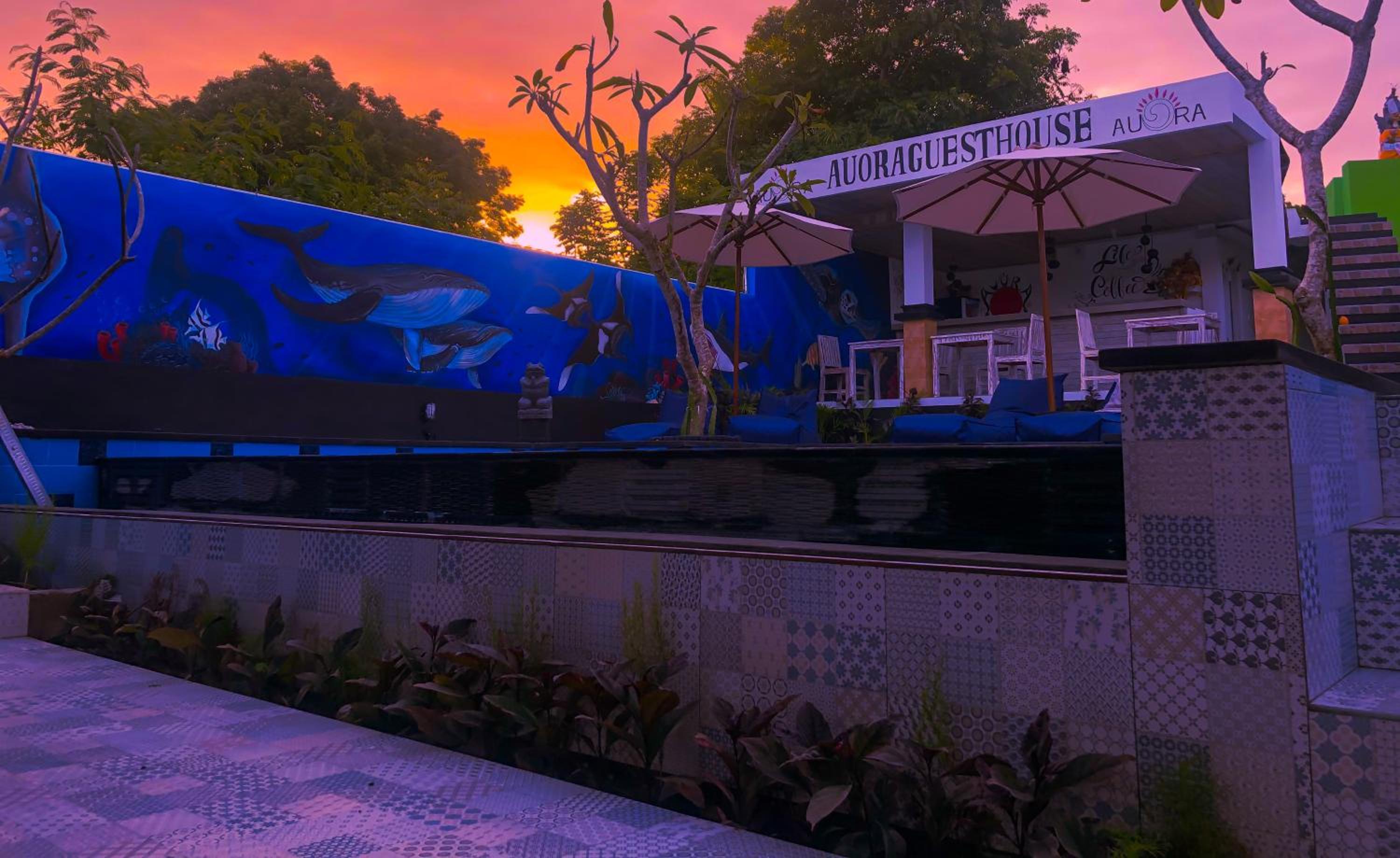 Auora Guest House