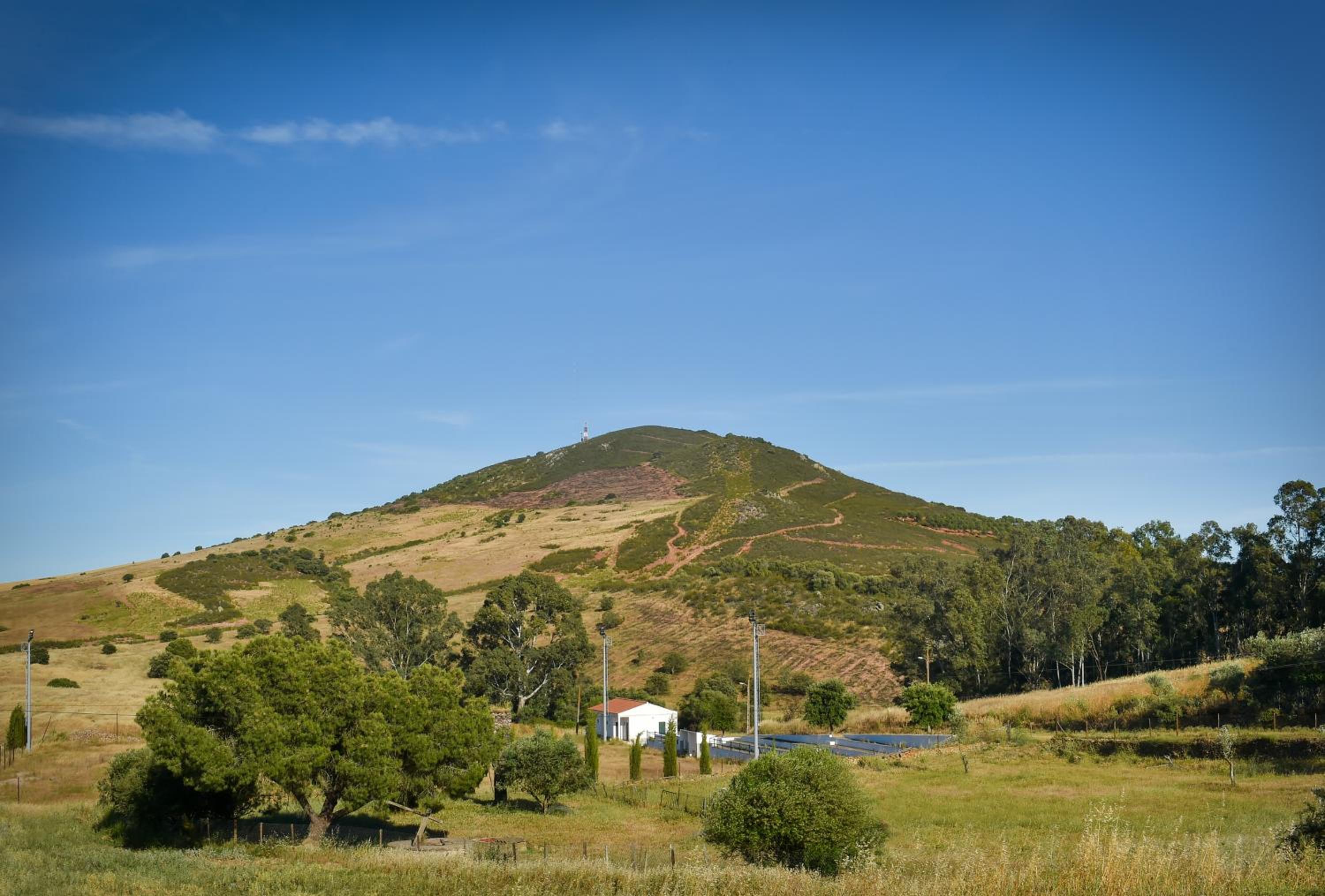 Photo 25