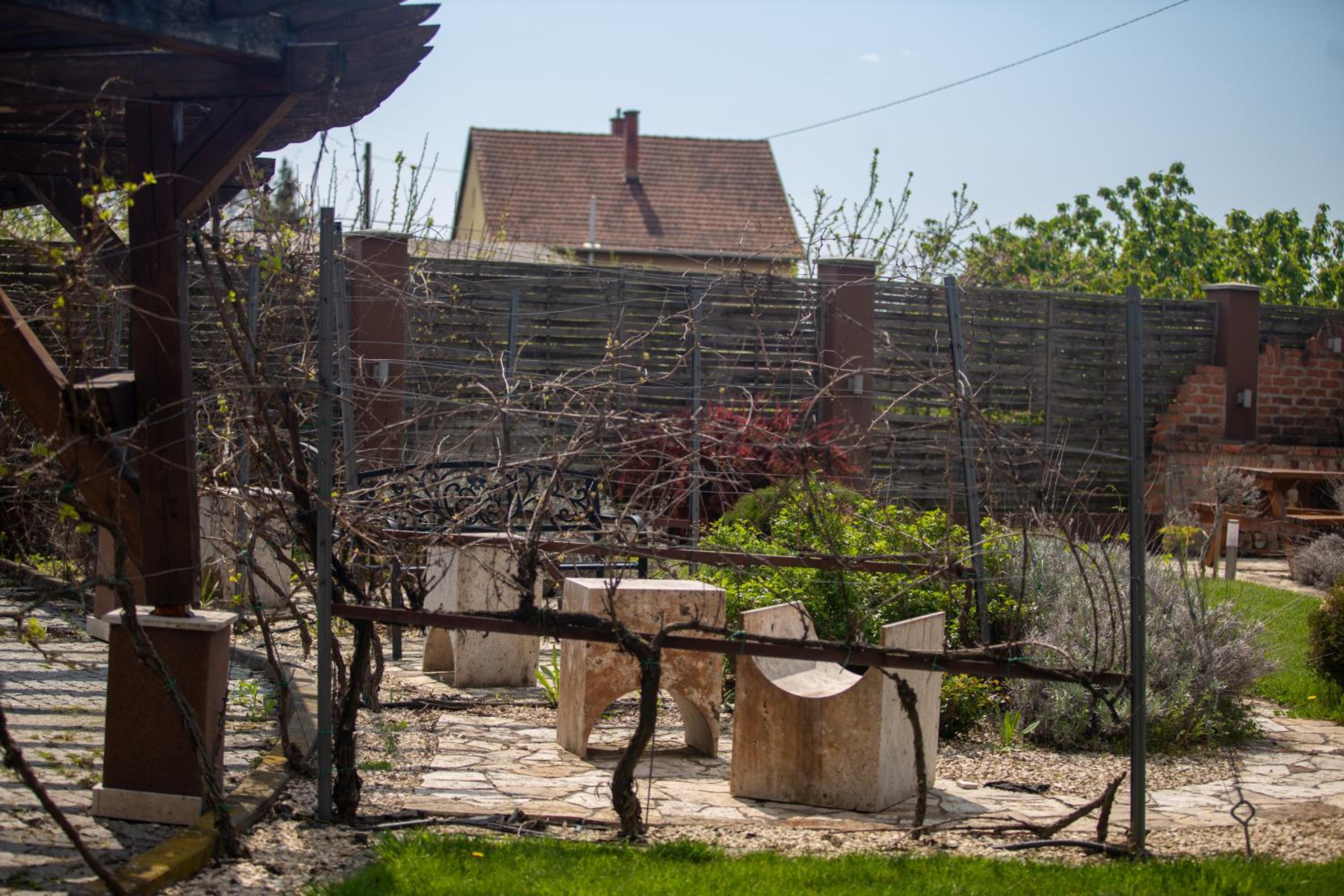 Photo 23
