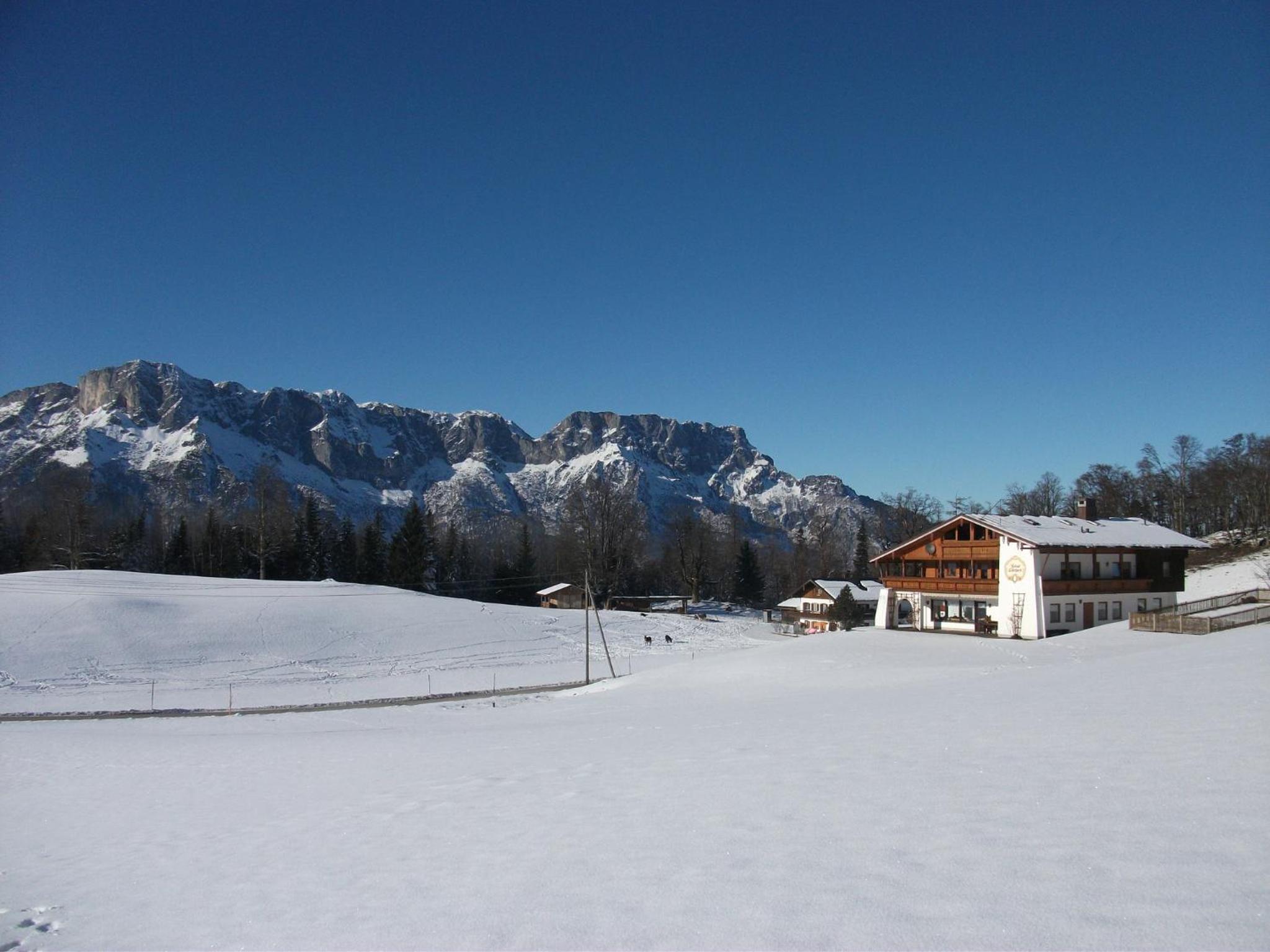 Gästehaus Lärcheck Berchtesgaden FeWo Wiesentraum