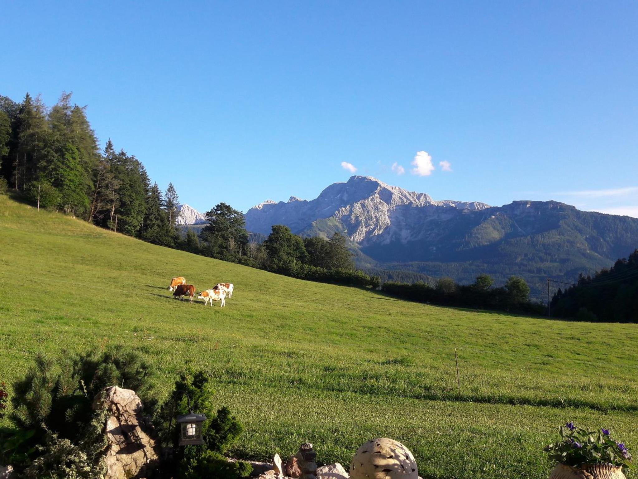 Gästehaus Lärcheck Berchtesgaden FeWo Bergfeuer