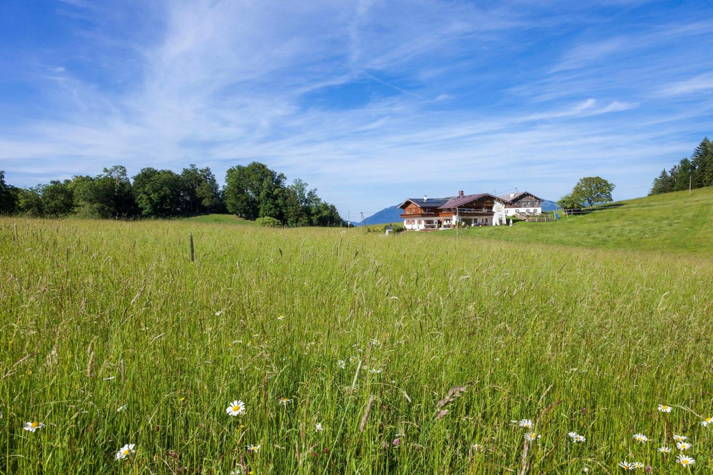 Gästehaus Lärcheck Berchtesgaden FeWo Jägerstübchen