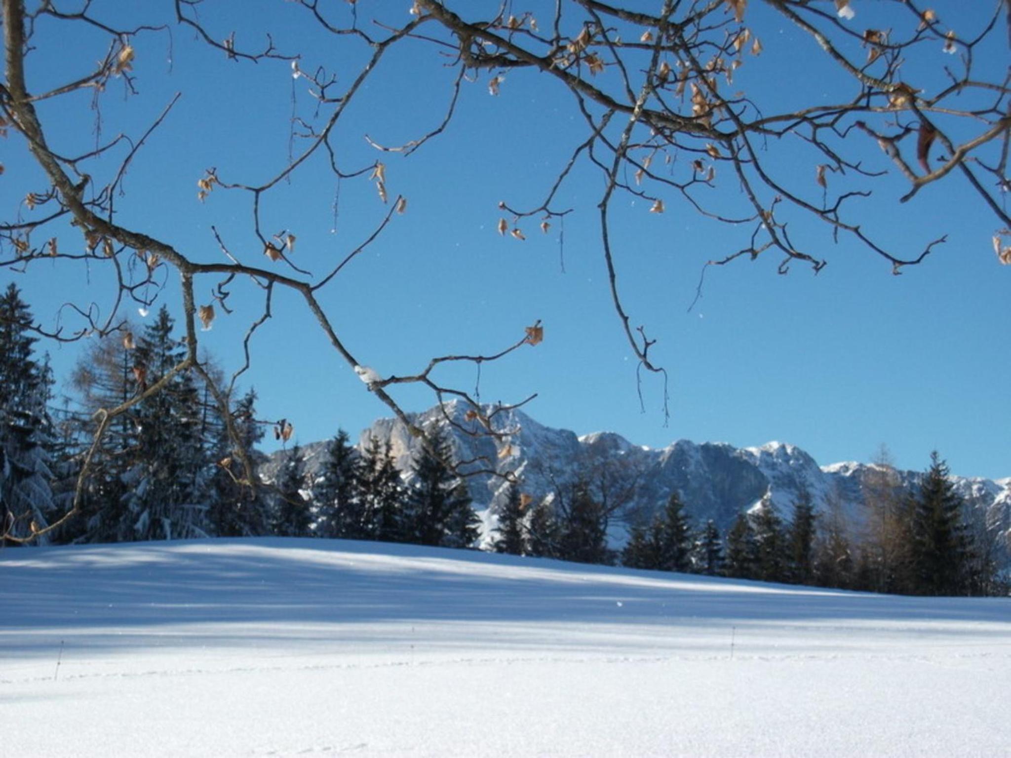 Gästehaus Lärcheck Berchtesgaden FeWo Jägerstübchen