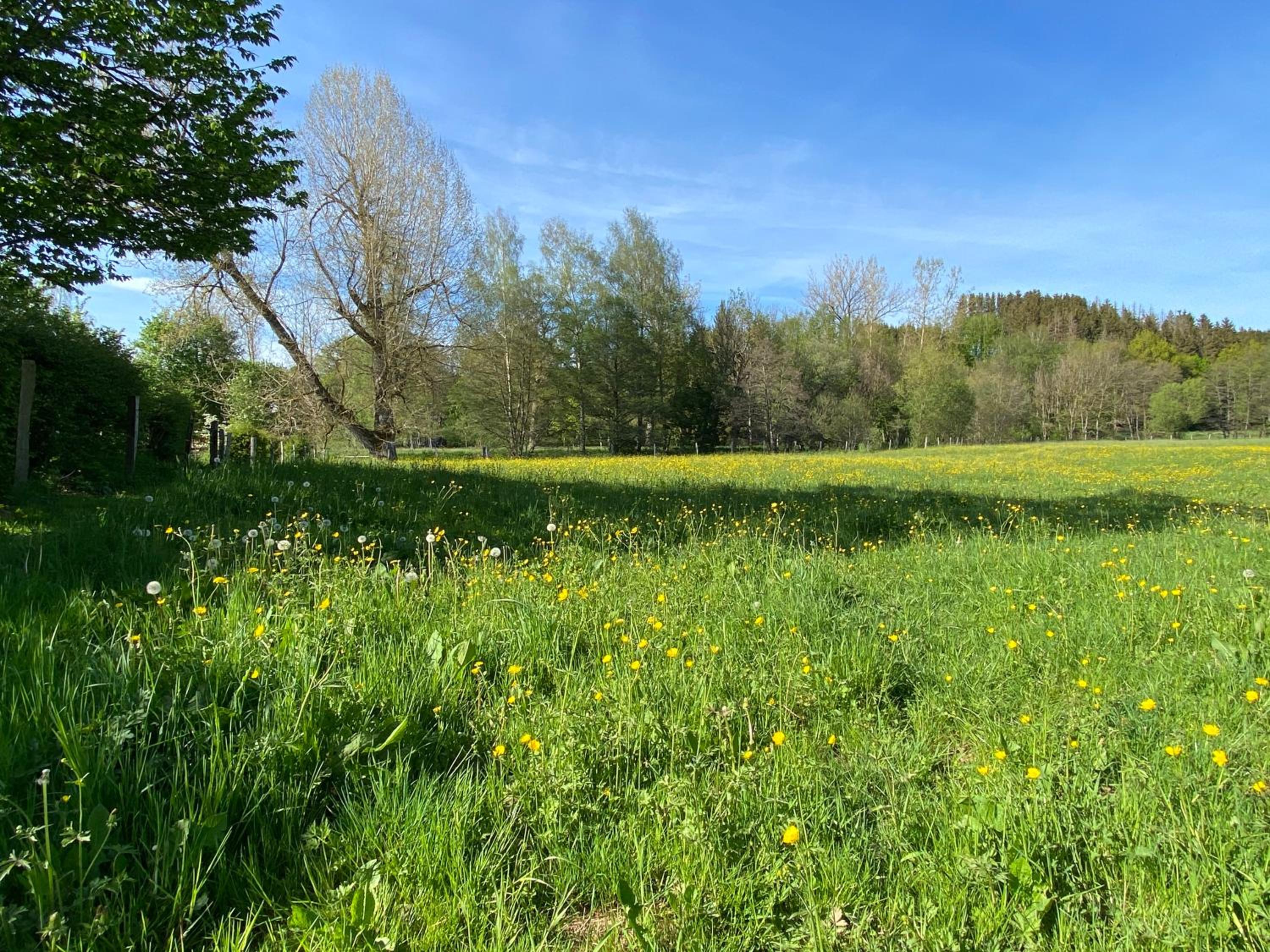 Le Héron - Gîte de charme clôturé, accès à la rivière - 6 ou 10 personnes
