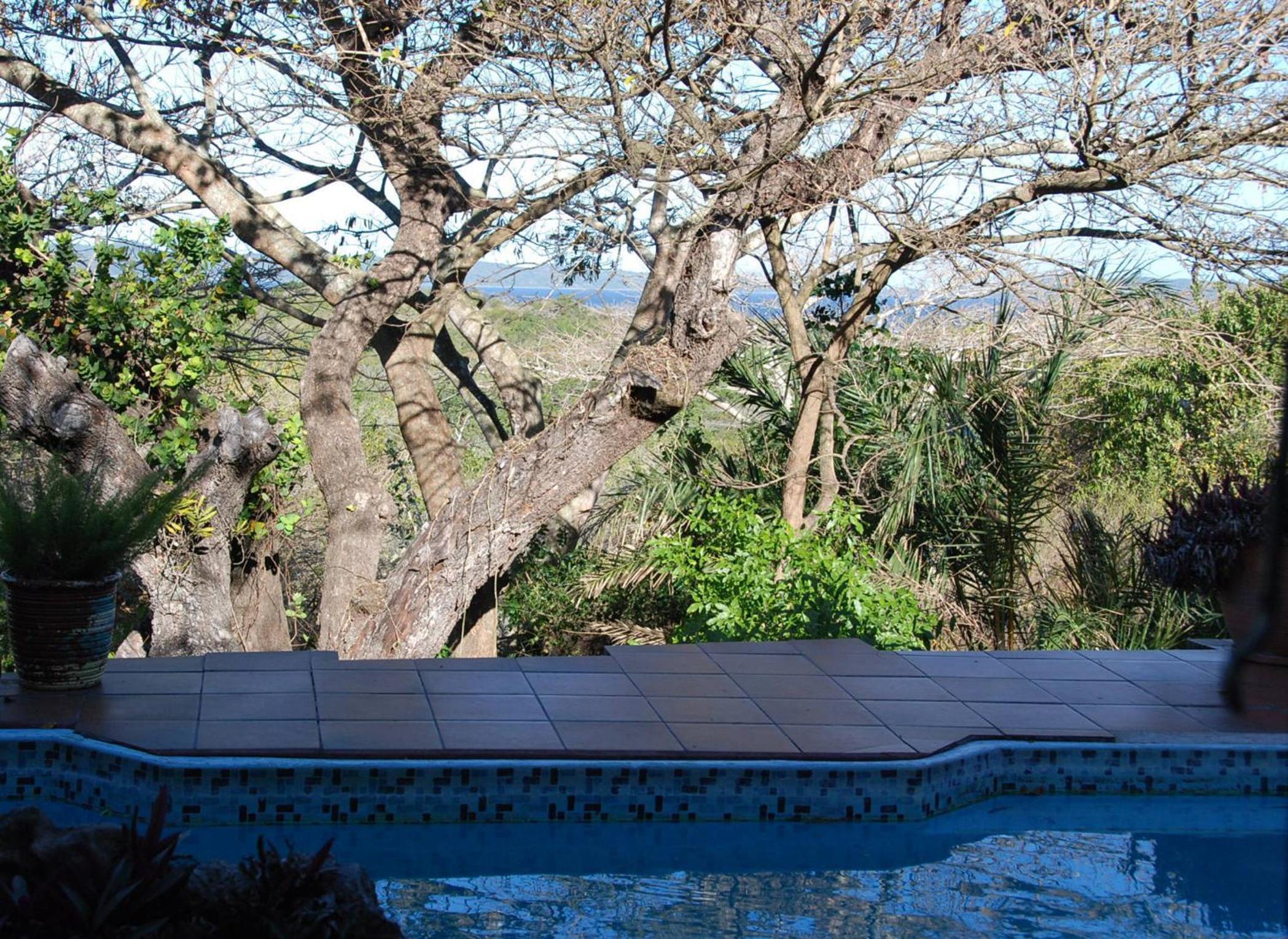 Kosi Moon Bed and Breakfast view 5
