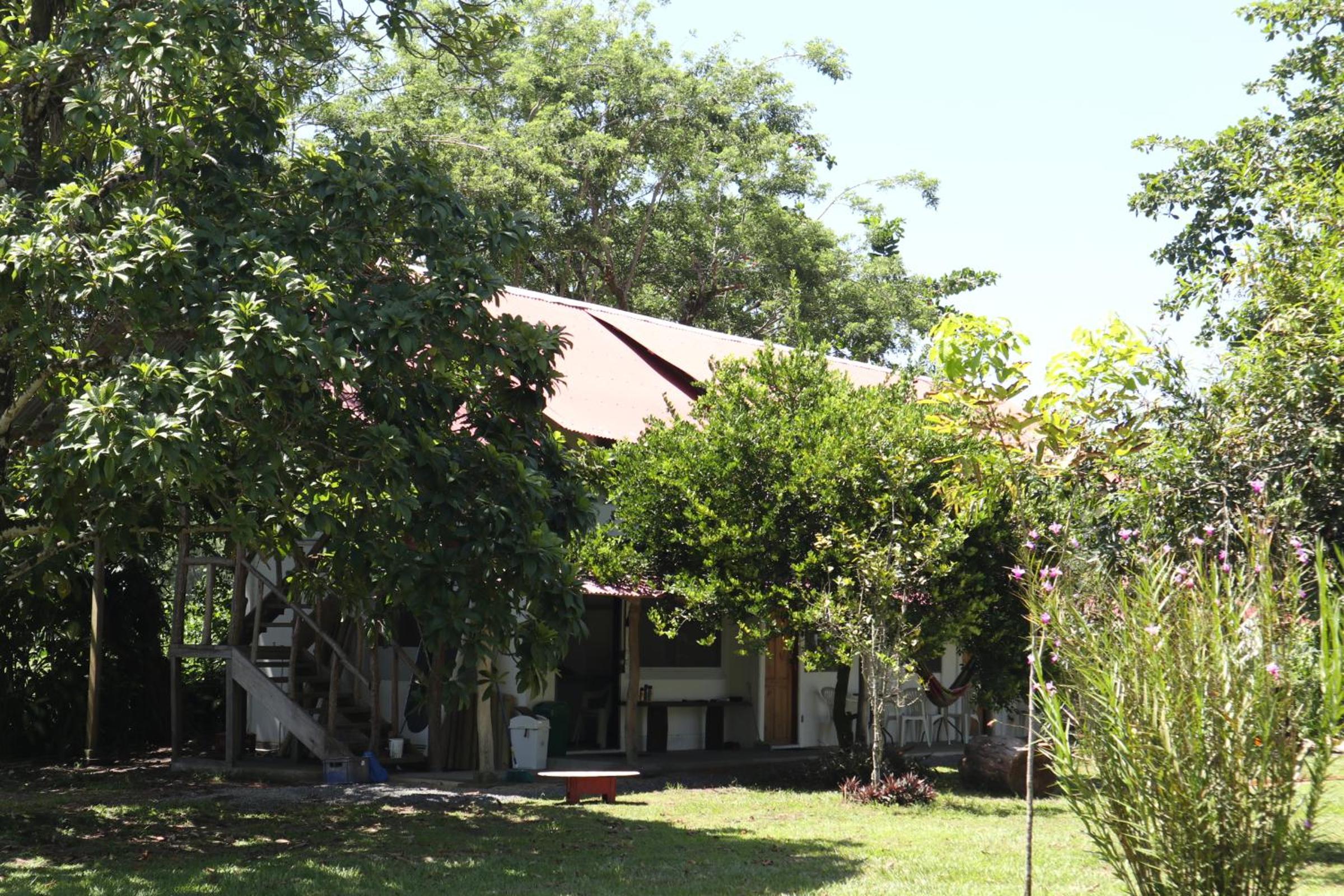 Photo 7