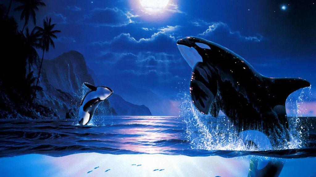 The Orca Inn