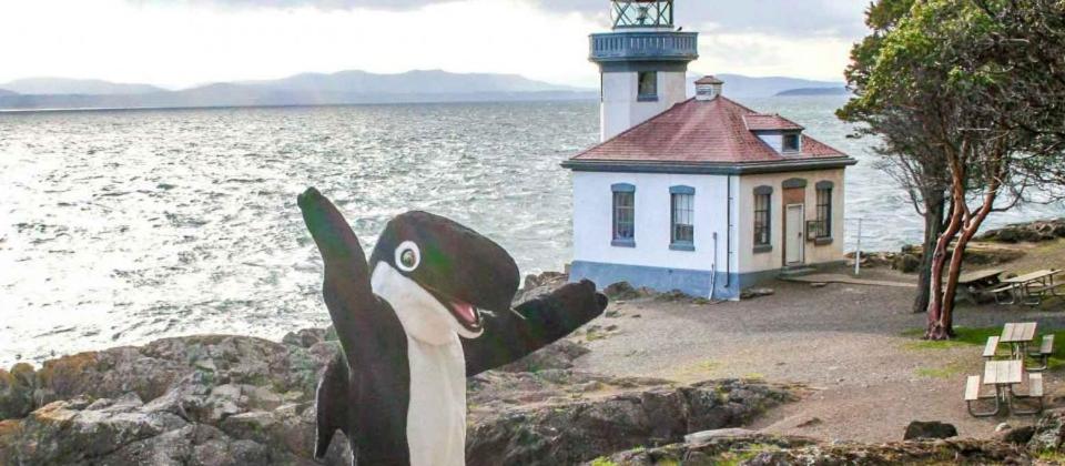 The Orca Inn