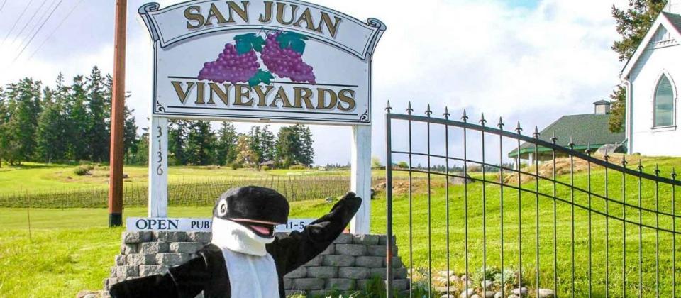 The Orca Inn