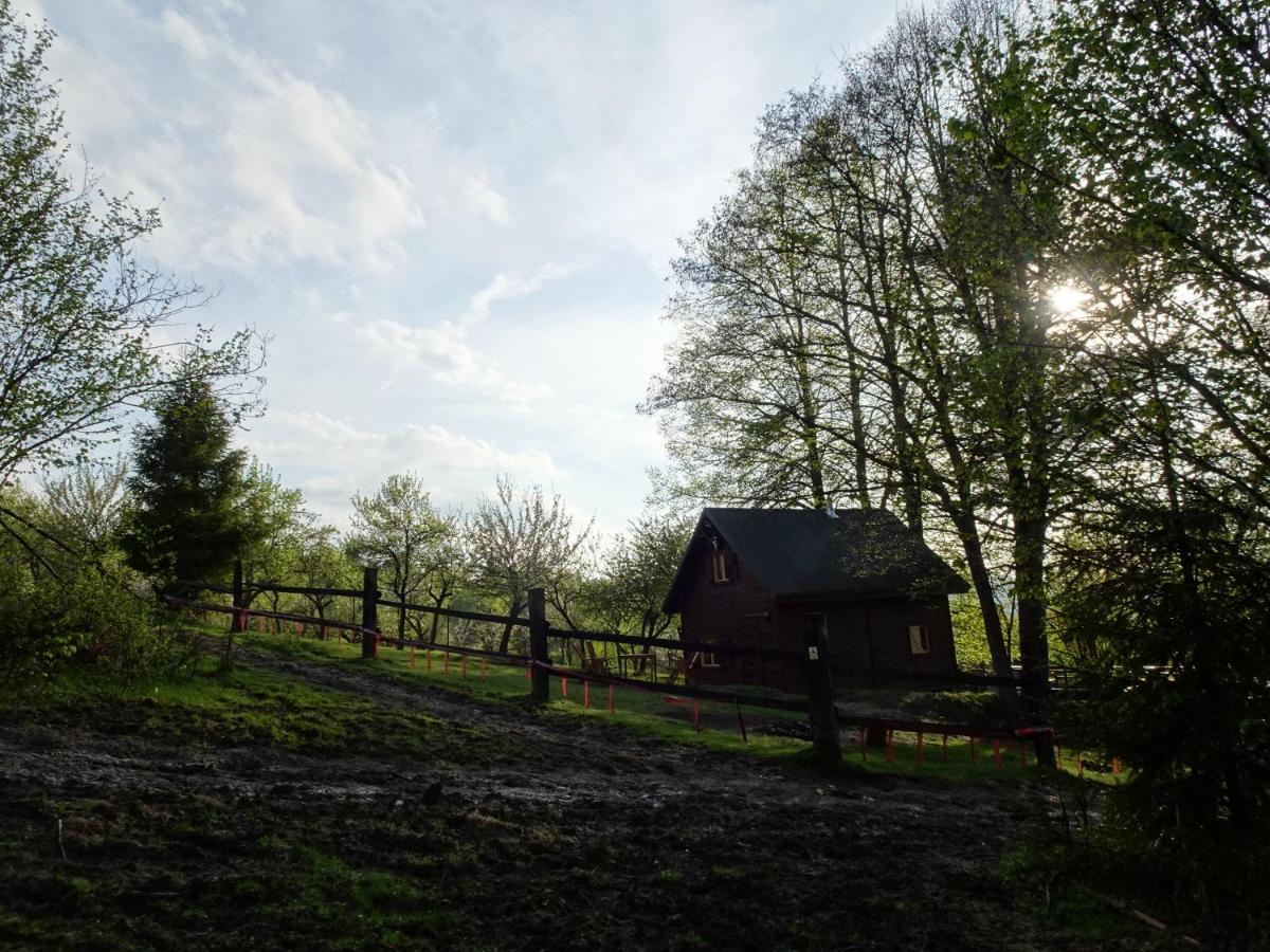 Domek myśliwski w górach view 5