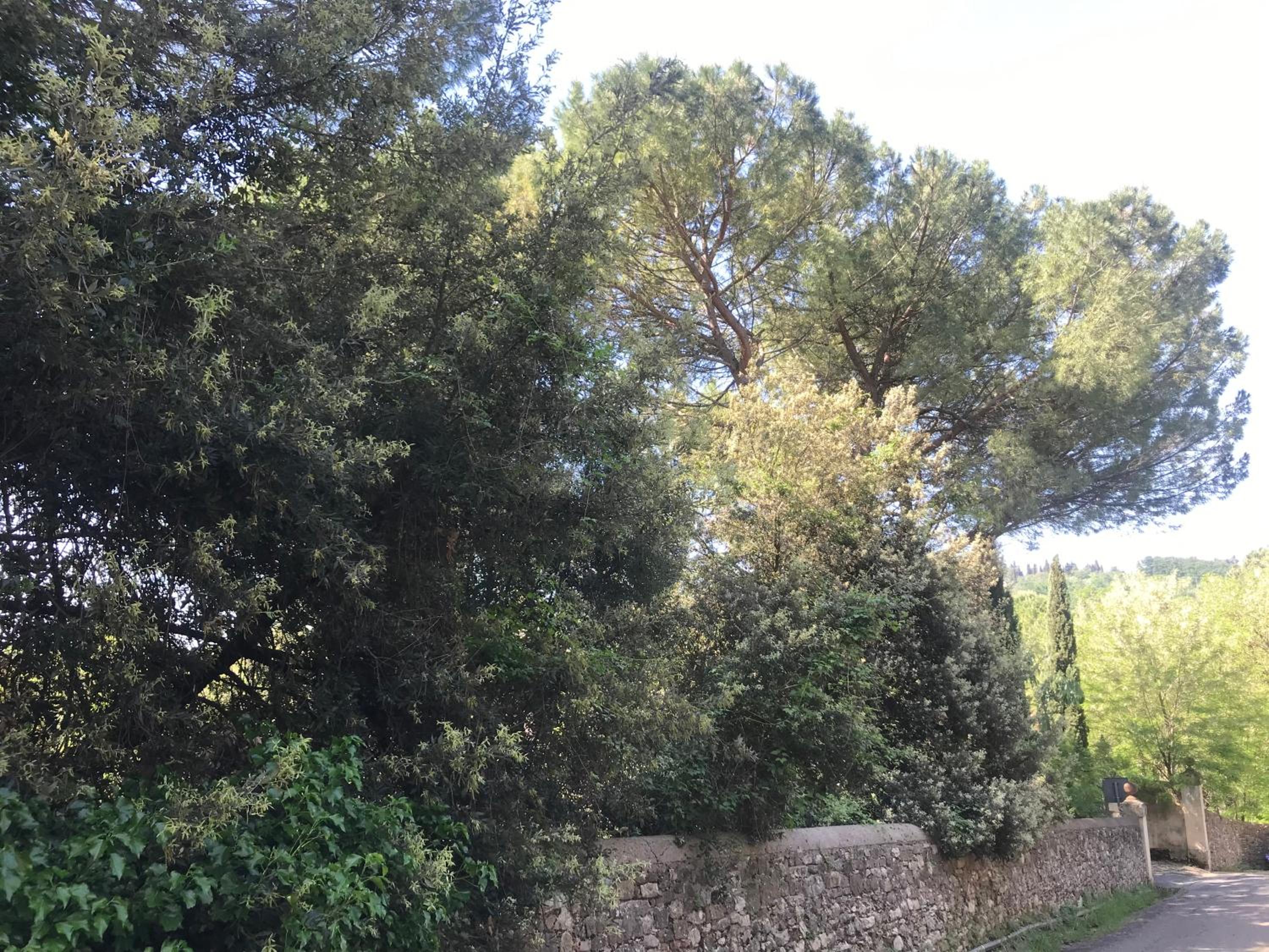 Elegante e spazioso bilocale in zona Certosa (FI)