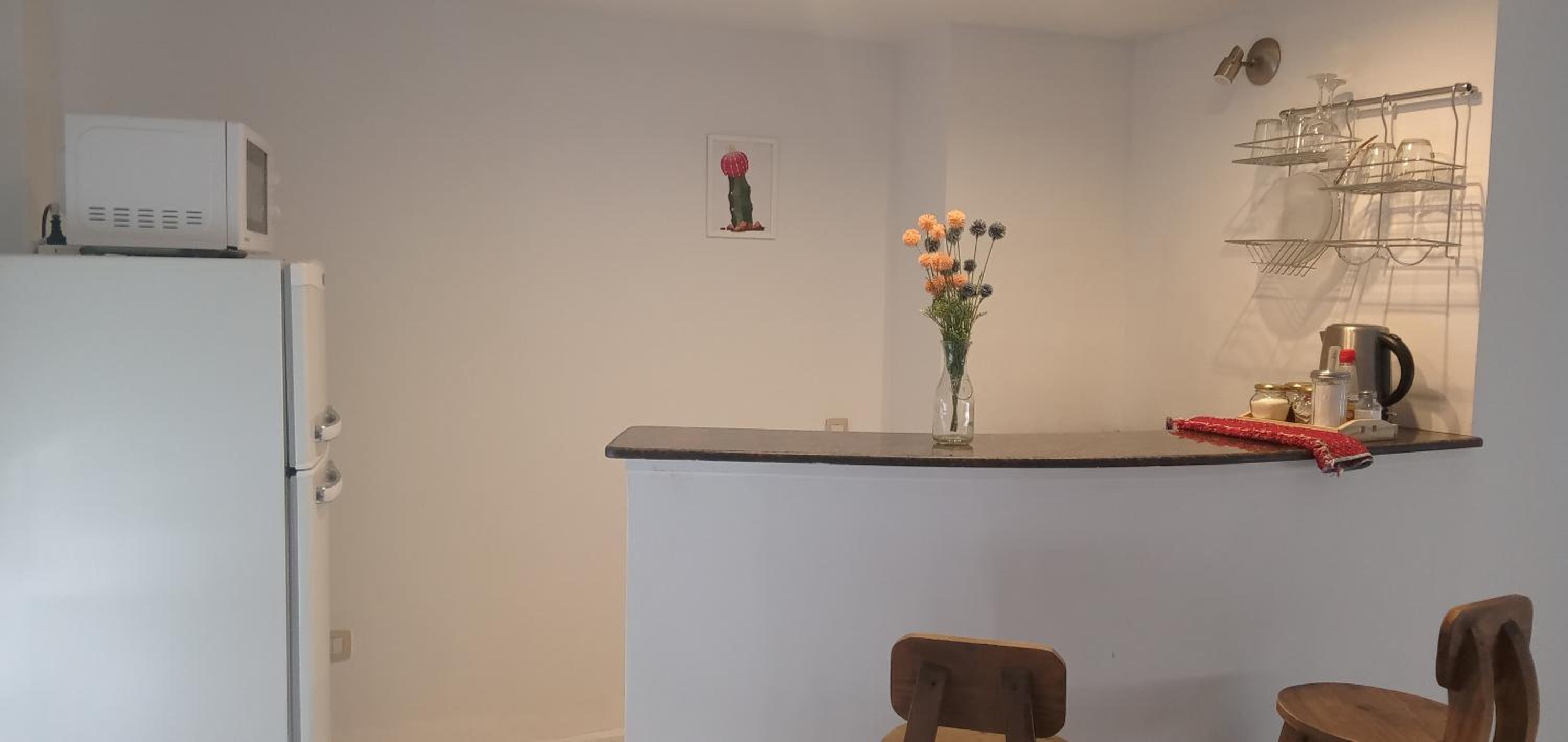 Departamento Altos Mendoza Presidente Mitre