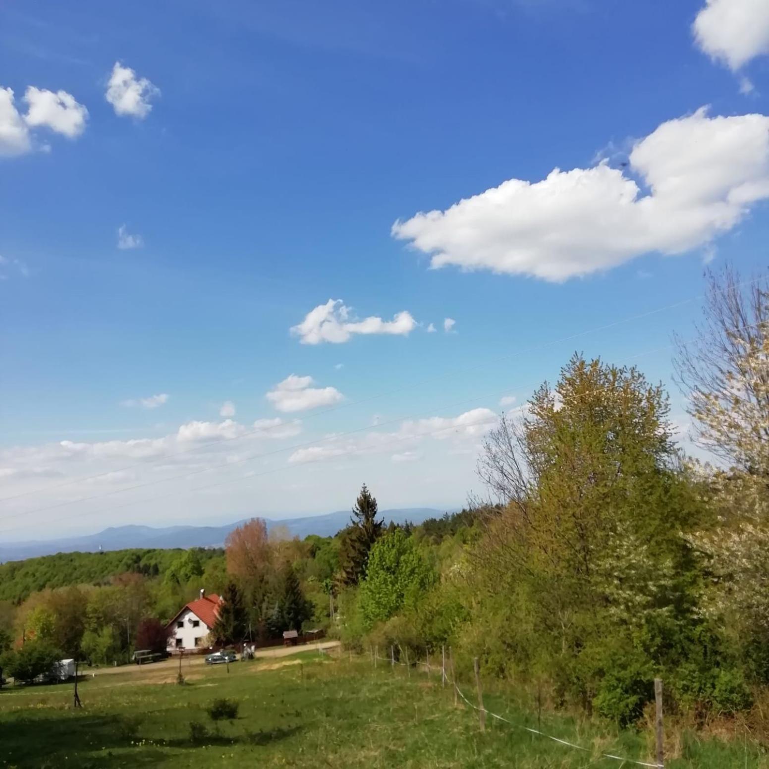 Photo 32