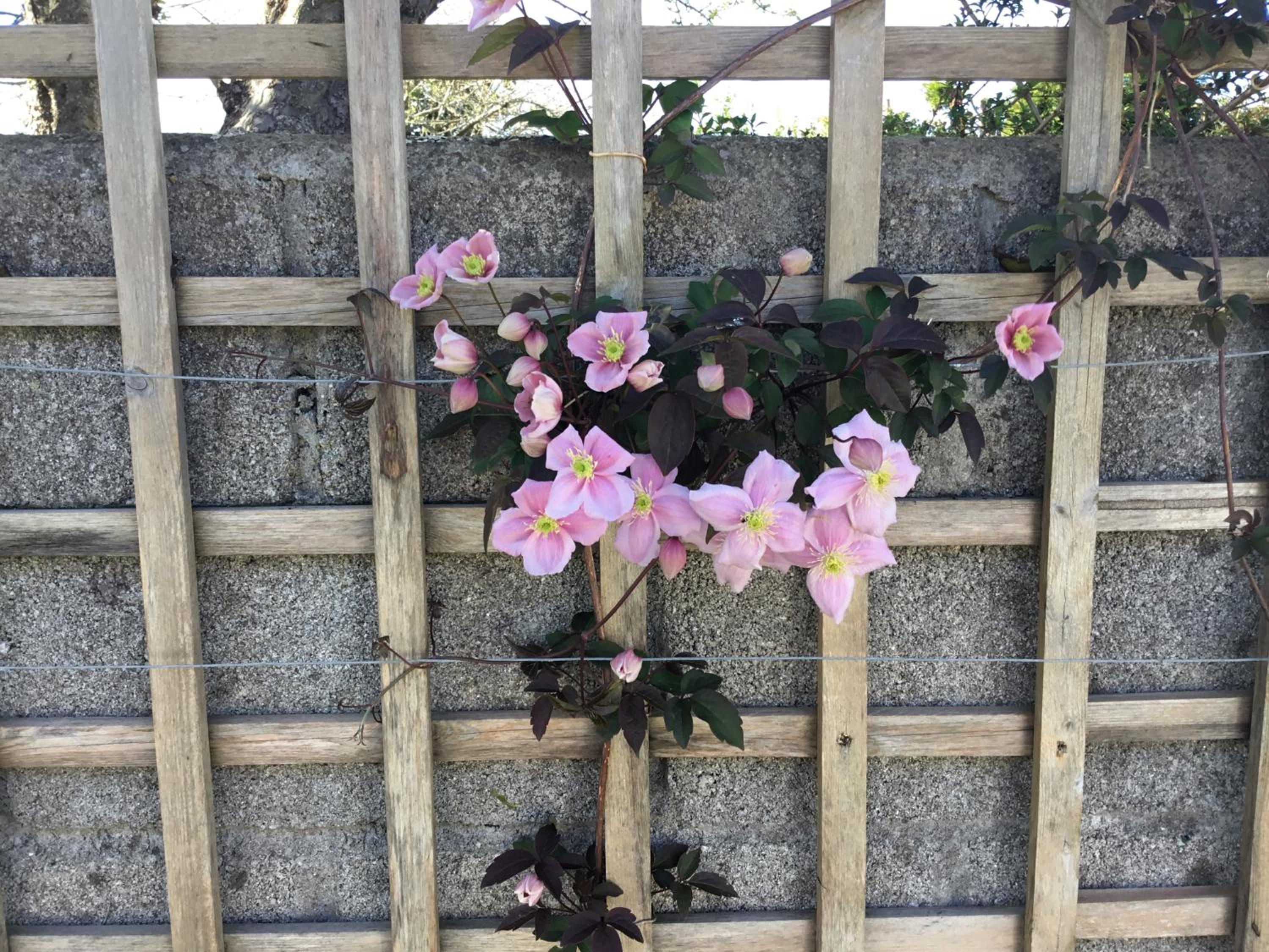 Photo 22