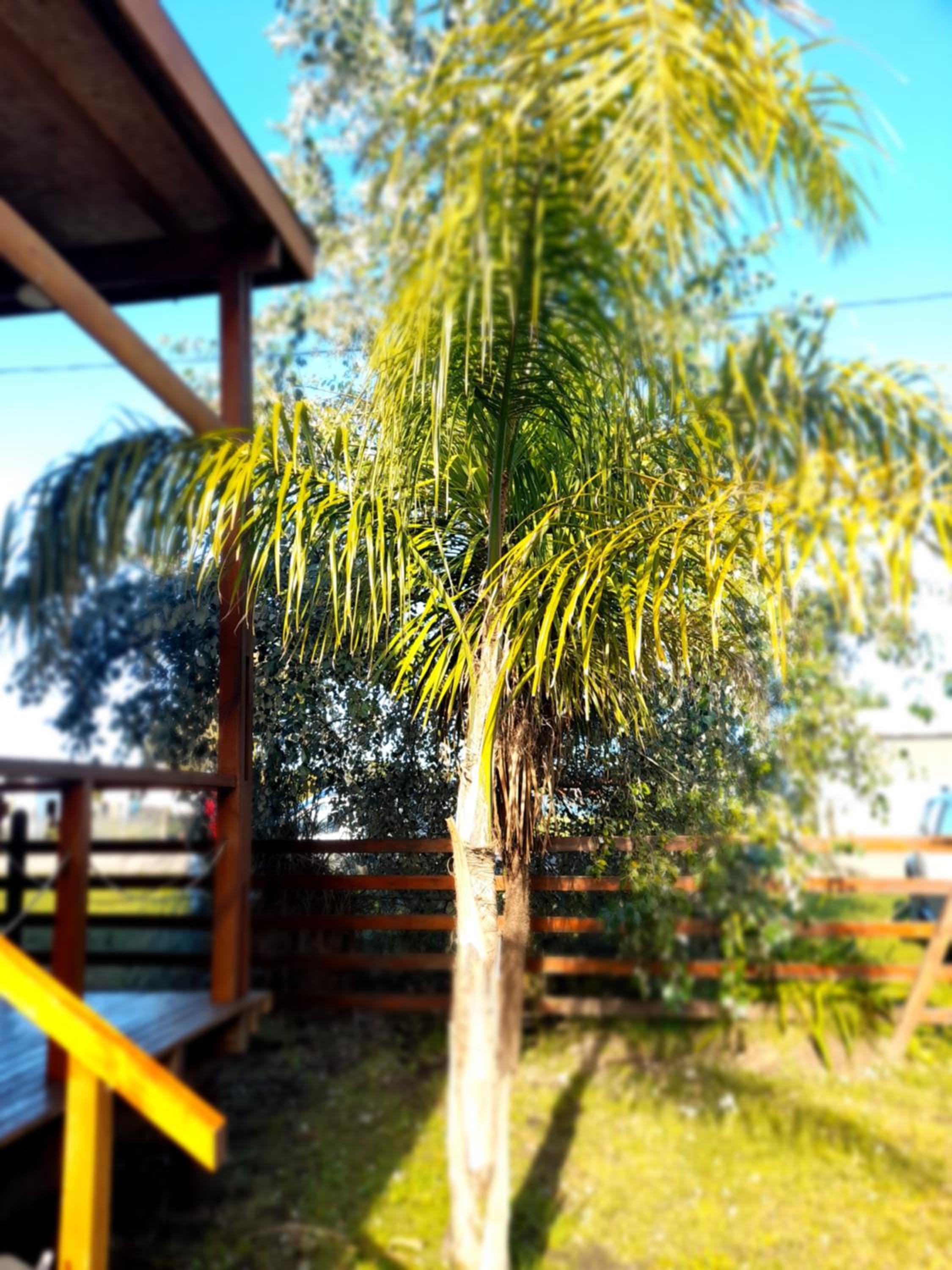 Cabaña en la Colina