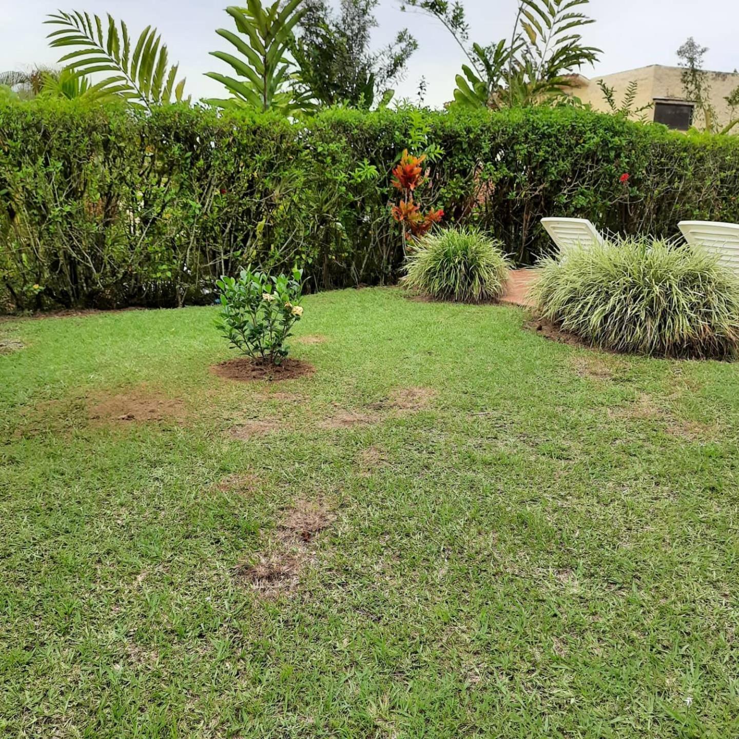 Fincas Panaca Portal 7