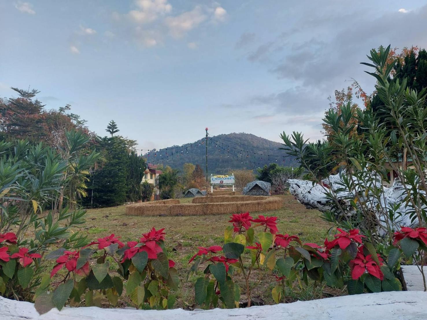 Phulomnum Resort