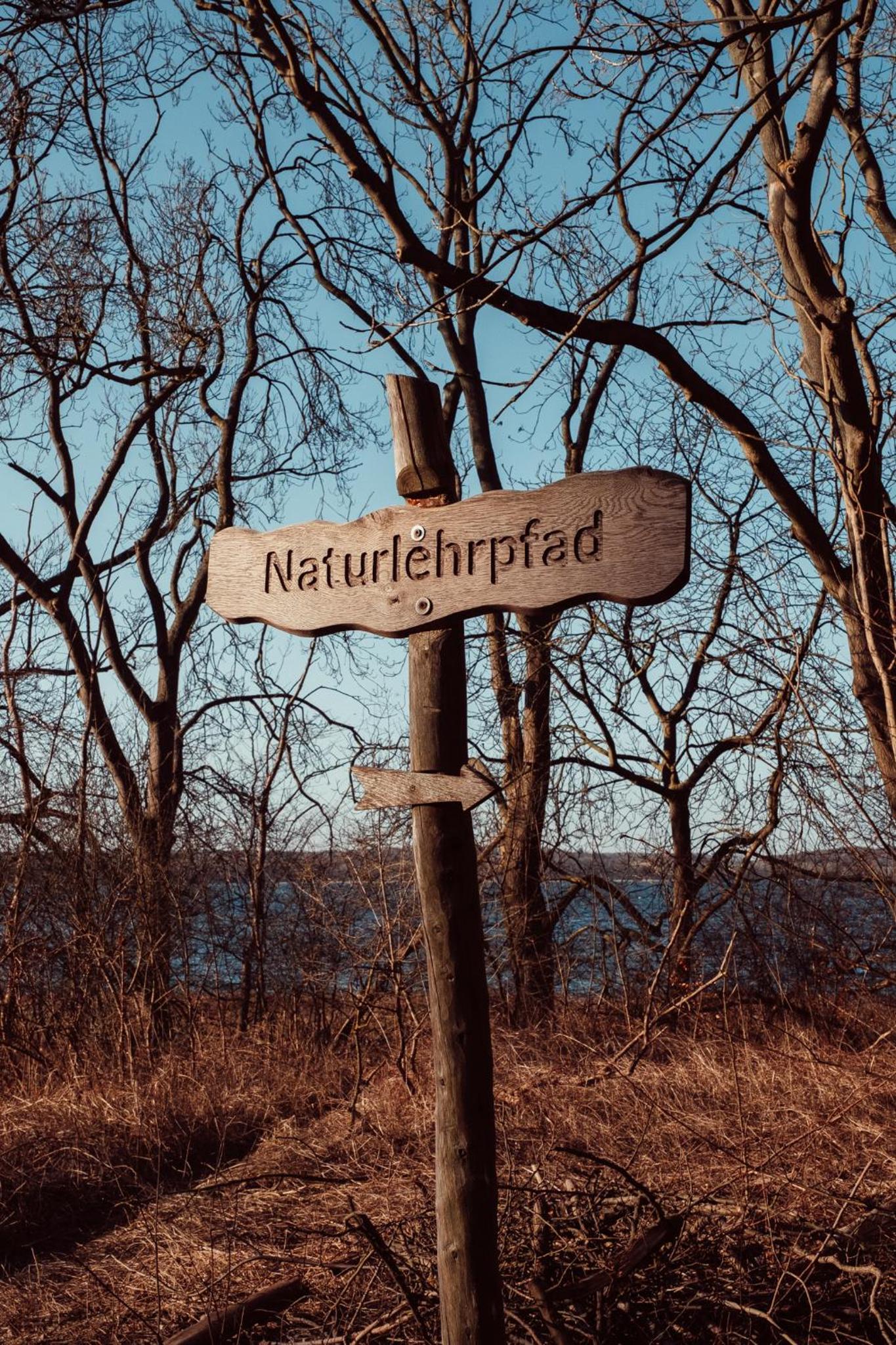 Auszeit Tollensesee