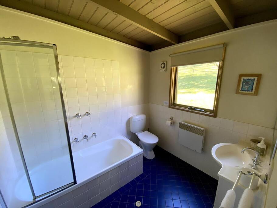 Crabapple Cottage Harrietville view 4