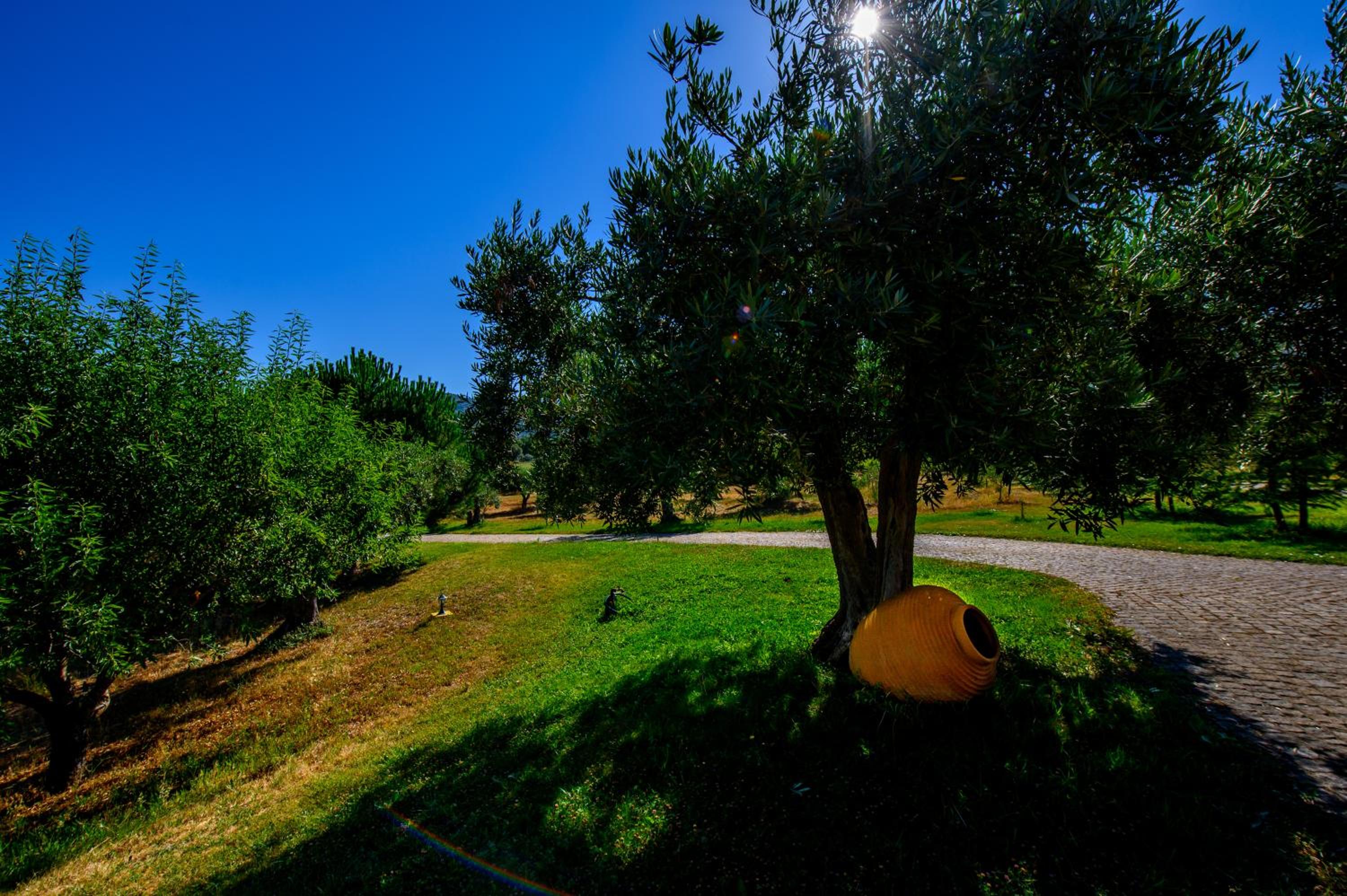 Quinta do Quinto