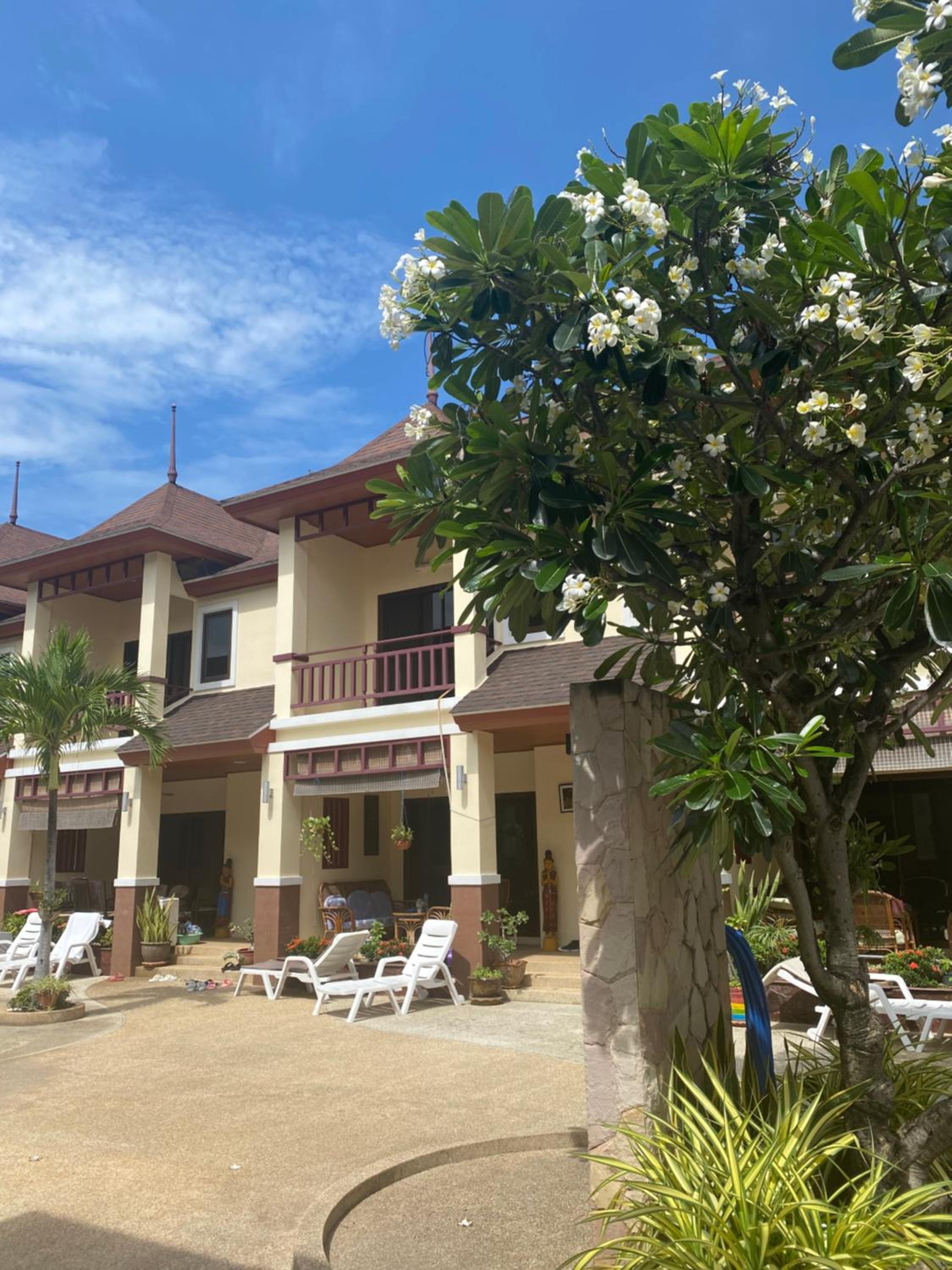 Organgrinder Thai Paradise South view 4