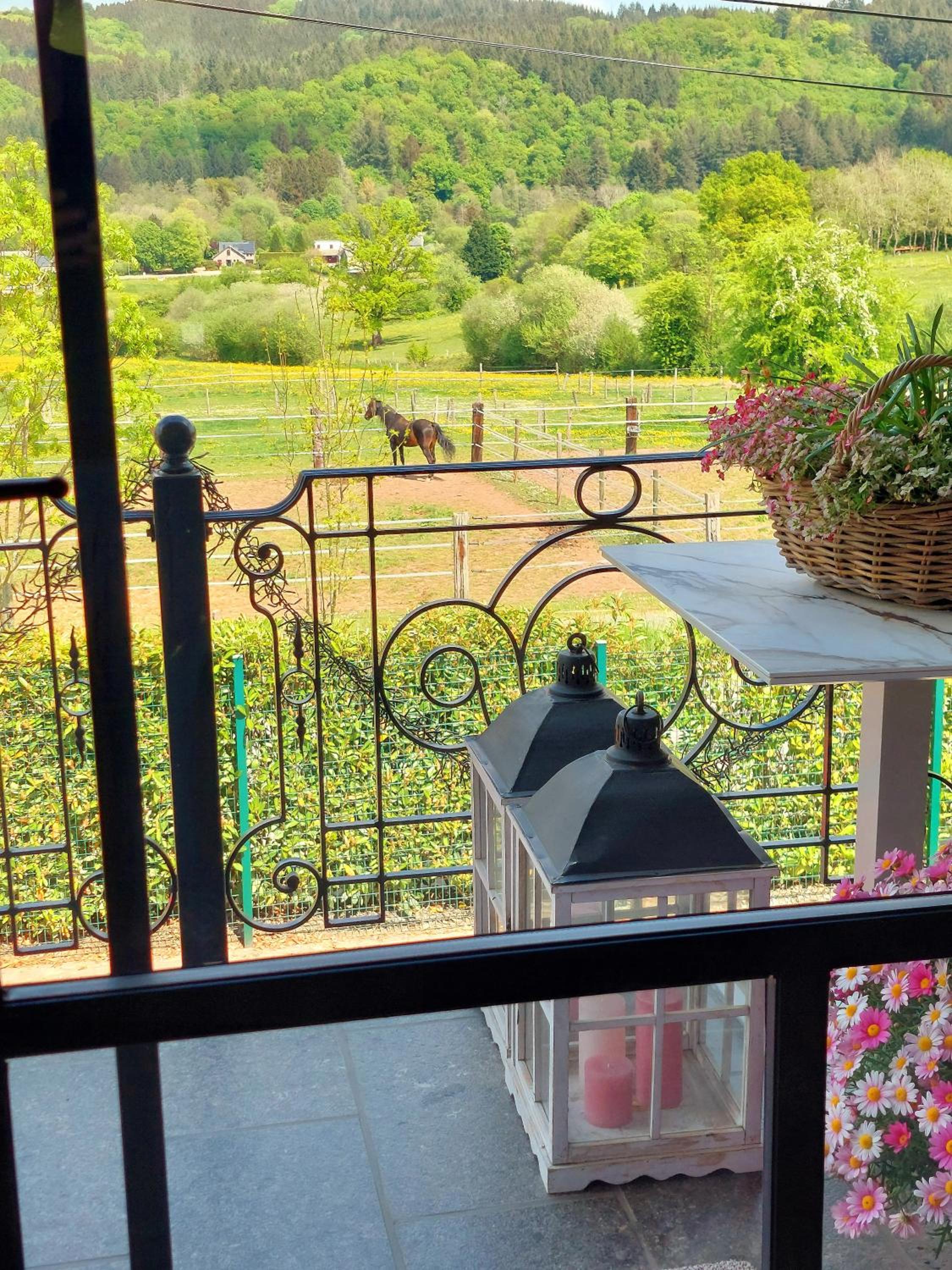 Cha Cha de Loup Luxe B&B - Vakantiewoning