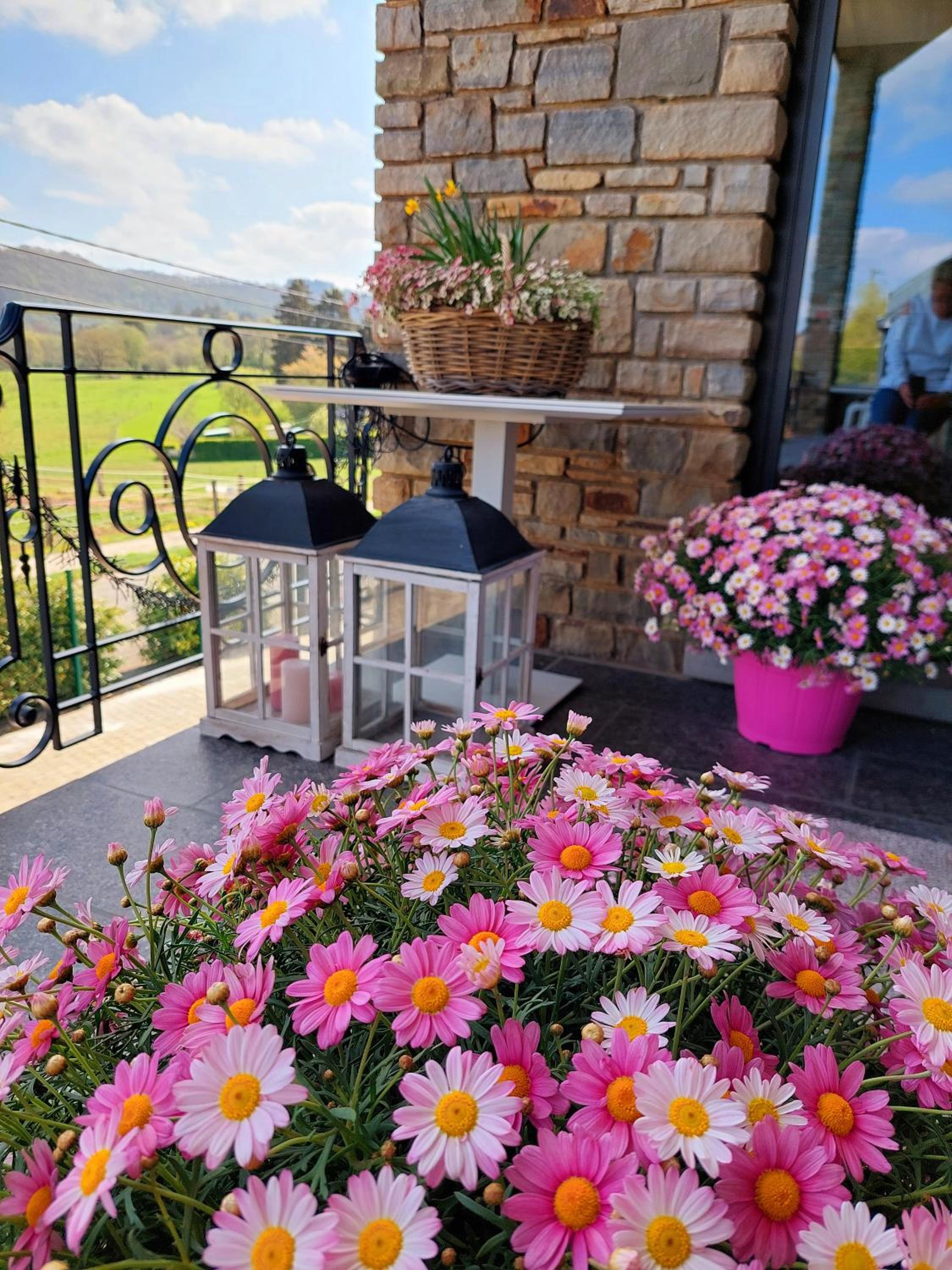 Cha Cha de Loup Luxe B&B - Vakantiewoning