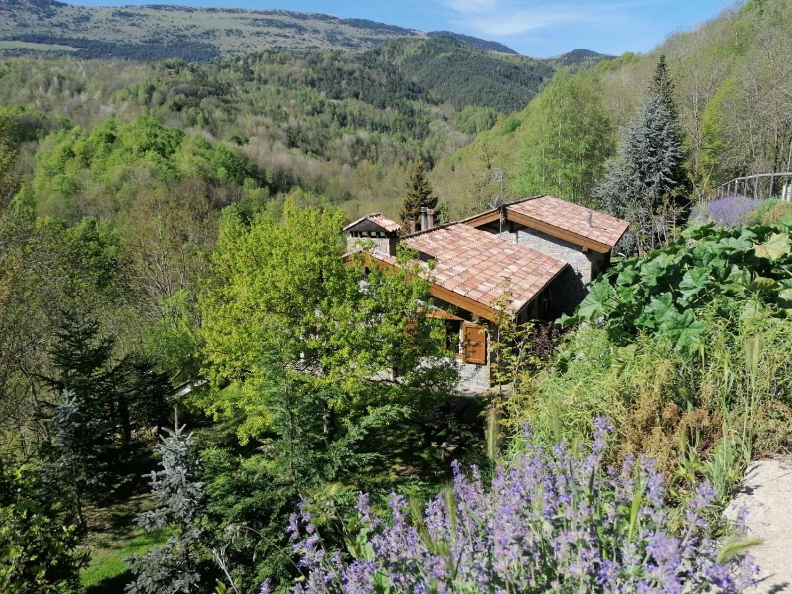 Photo 43