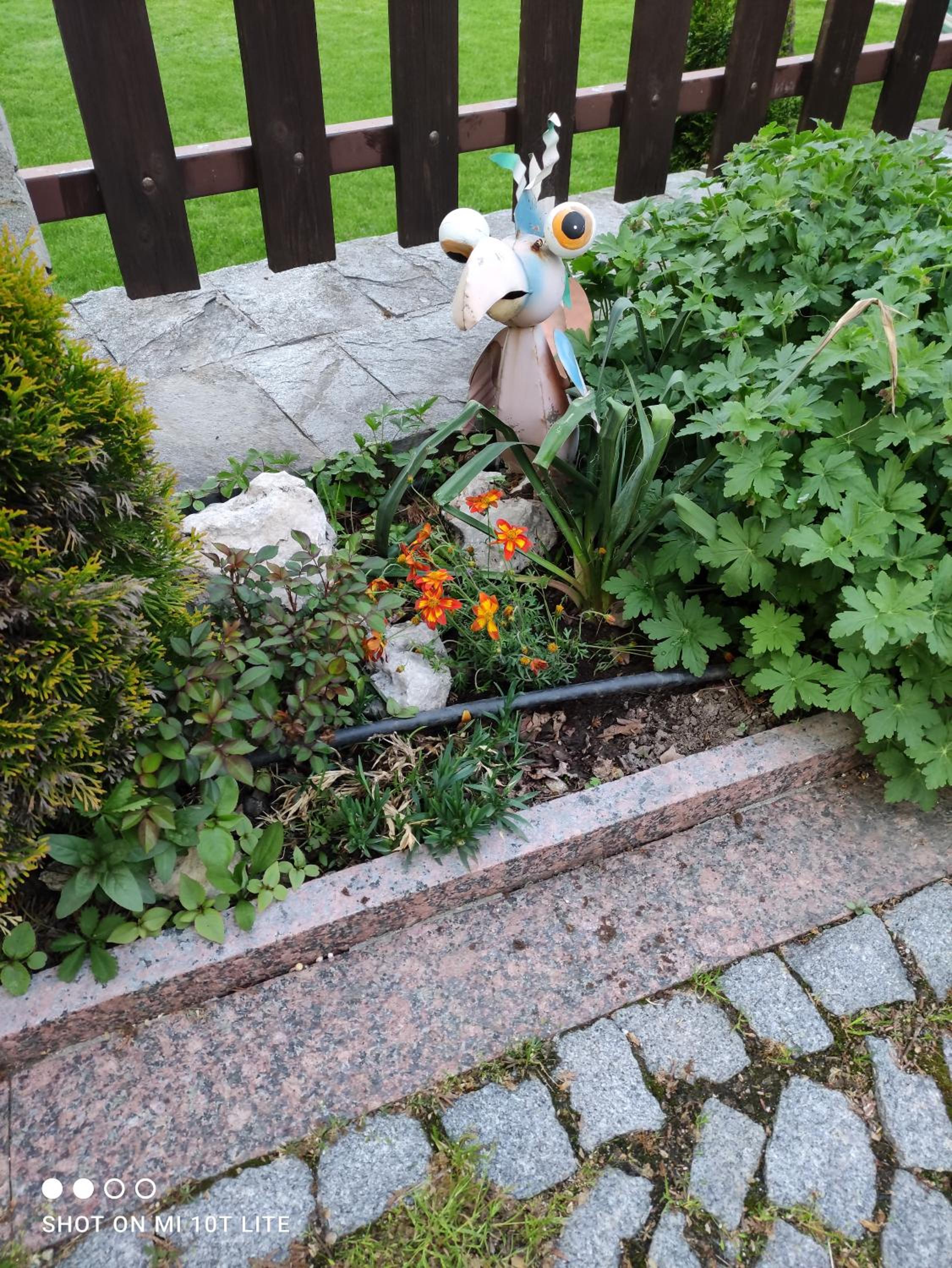 Photo 52