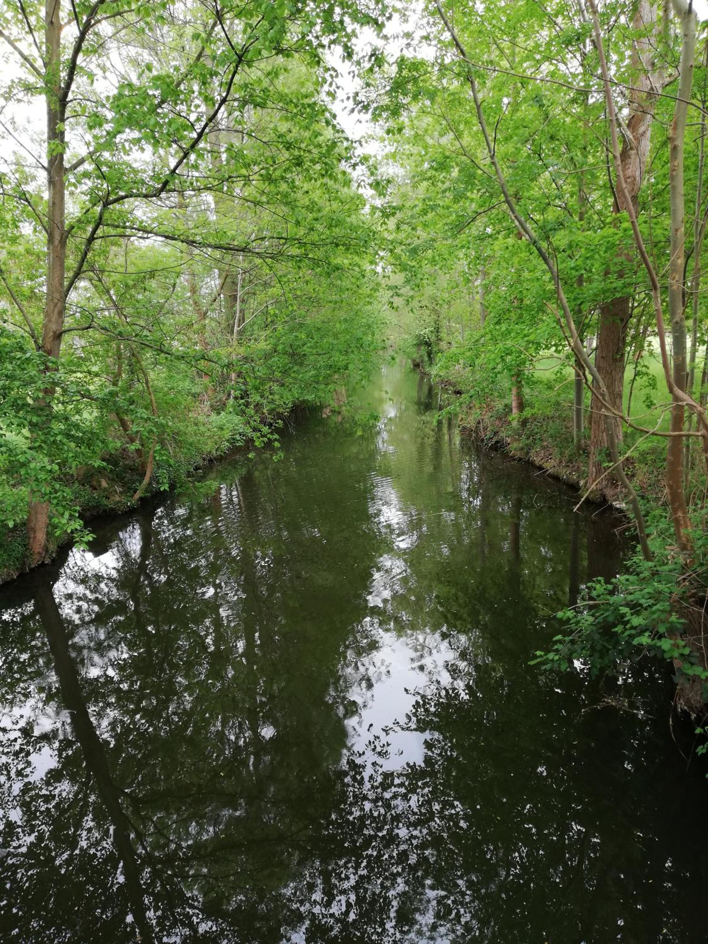 Am Waldrand Spreewald