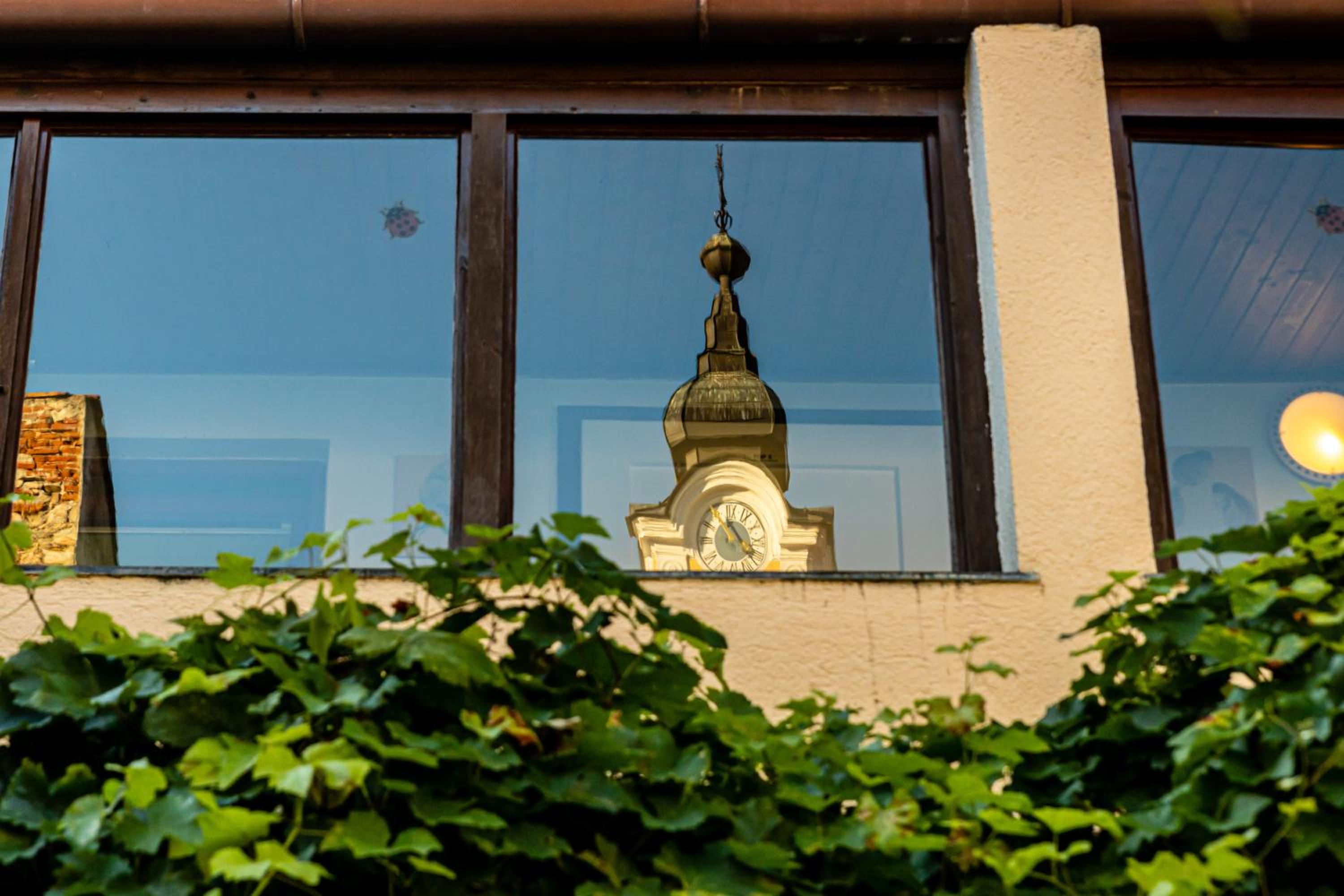 Grüner Baum Wachau - Retro Pension
