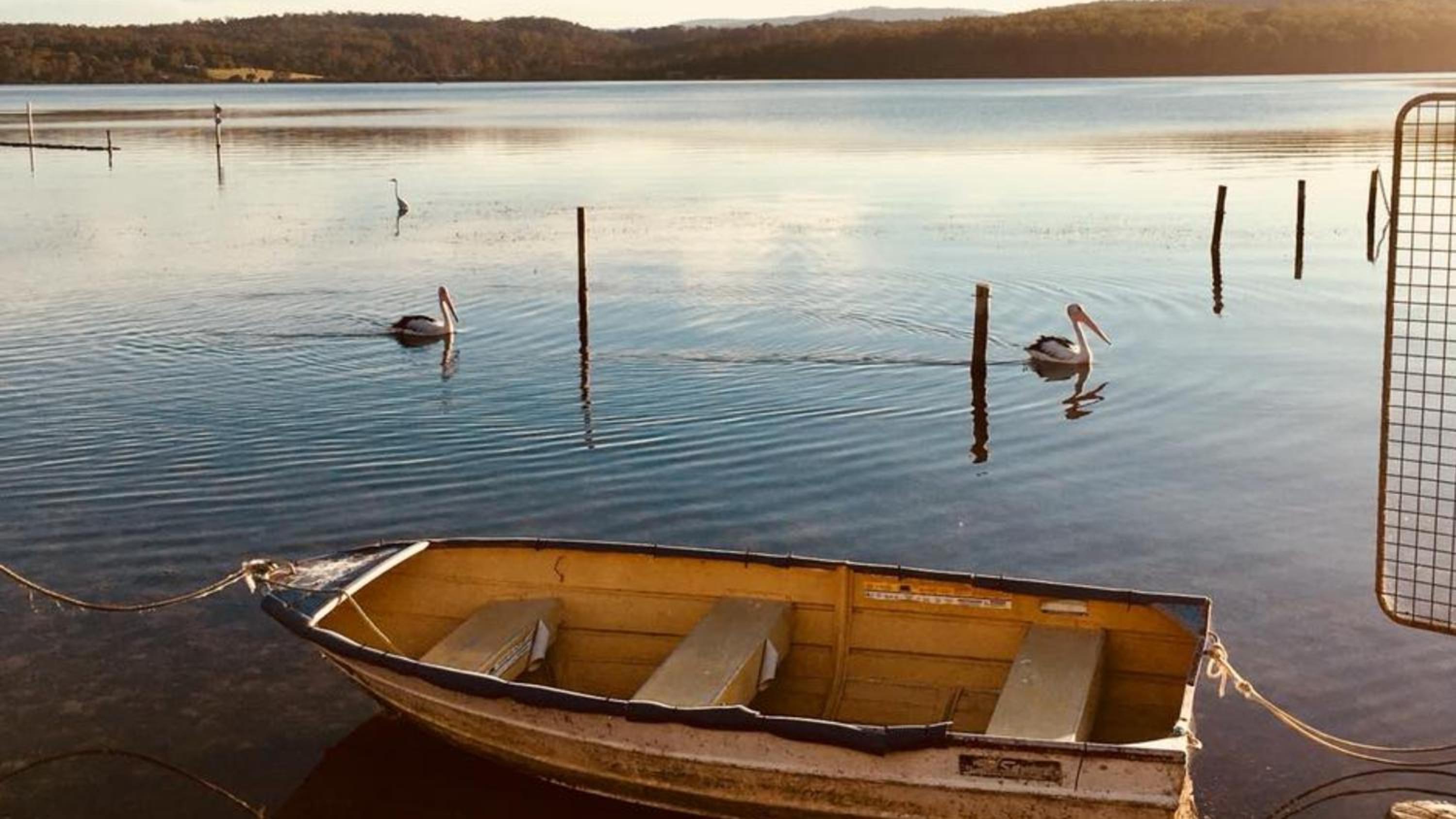 Cordova - Perfect Summer or Winter Getaway
