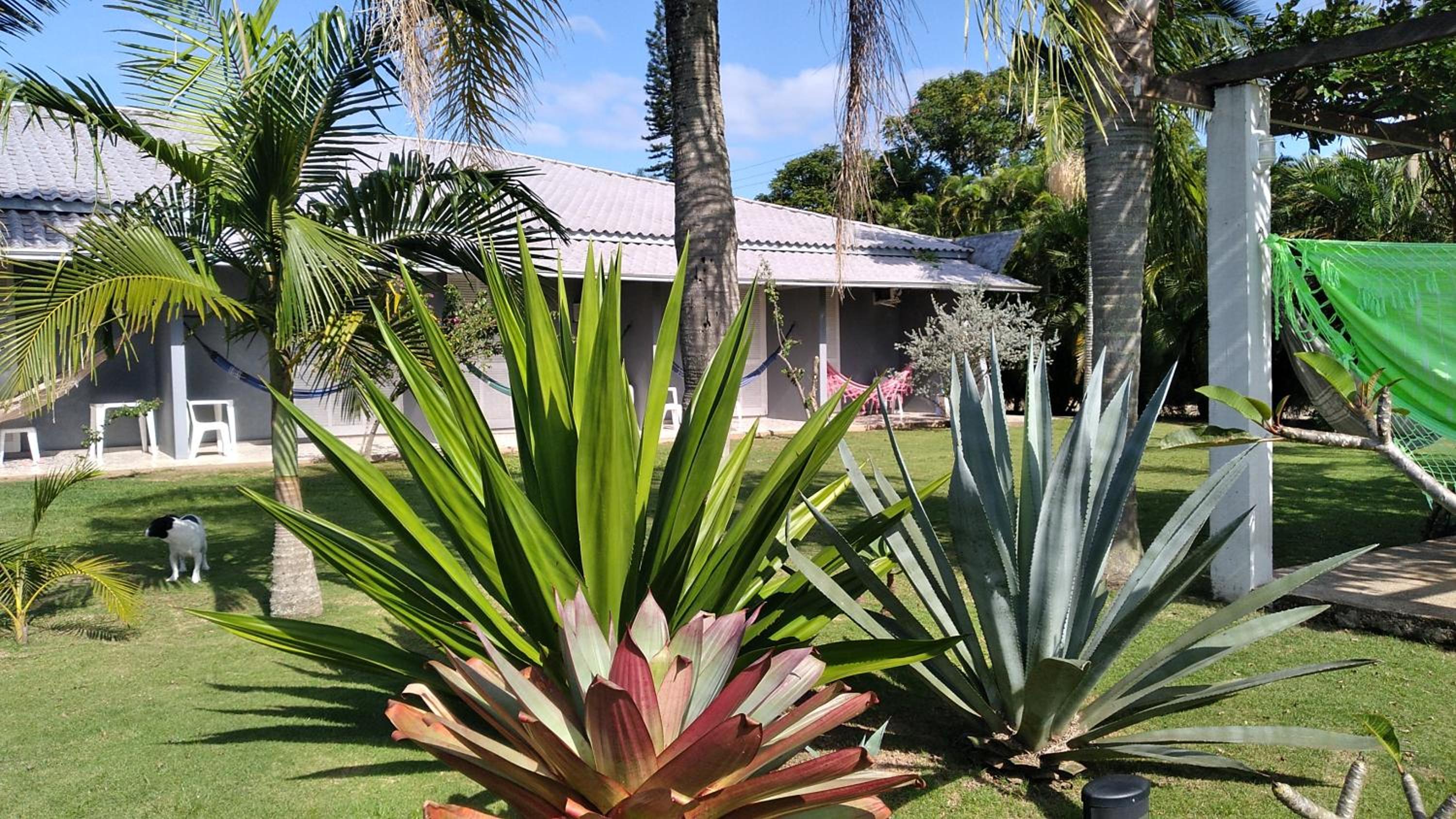Capri Hotel